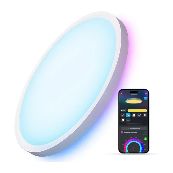 Govee Smart RGBIC LED Ceiling Light - 12 Inch, 2400LM Flush Mount Fixture with DIY Color Modes, Alexa Compatible, Adjustable 2200K-6500K Lighting for Bedroom and Living Room, 1-Pack