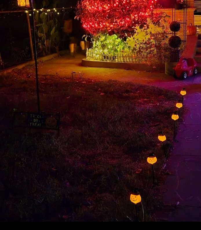 Click to view full screen 6 Pack Solar Jack O Lantern Stake String Lights Waterproof Orange Halloween Pathway Decor For Outdoor Yard Display photo review