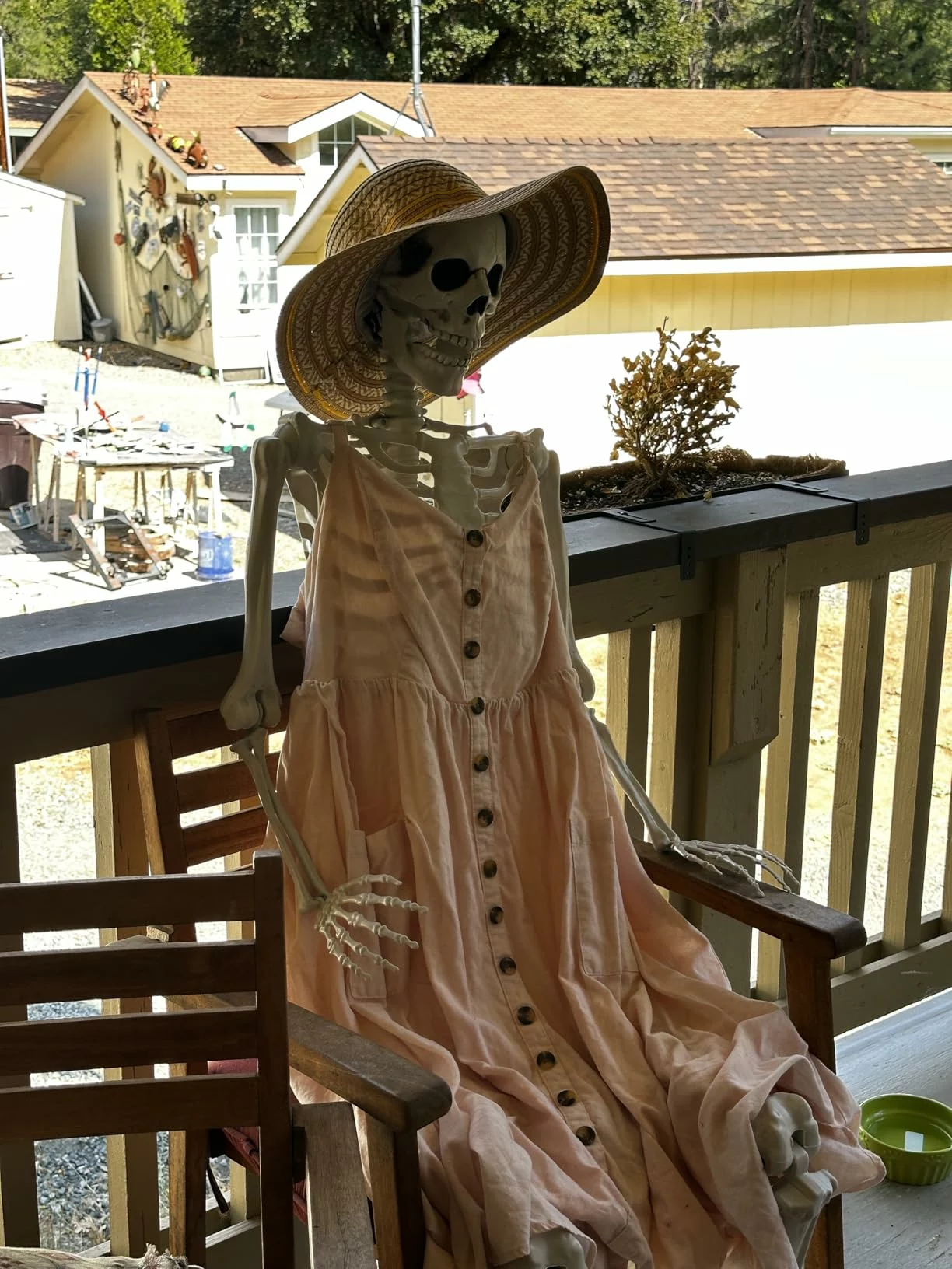 Click to view full screen 5.4FT Halloween Skeletons, Full Size Skeleton with Skeleton Dog, Plastic Life Size Human for Graveyard Haunted House Party Decoration photo review