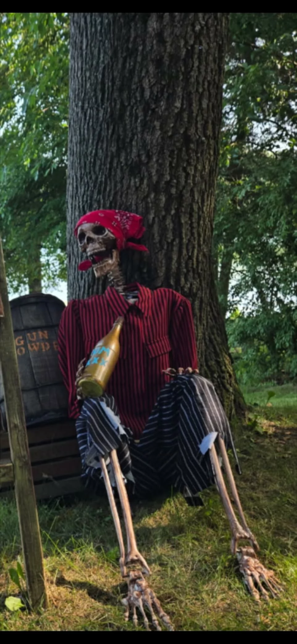 Click to view full screen 5.4FT Halloween Skeletons, Full Size Skeleton with Skeleton Dog, Plastic Life Size Human for Graveyard Haunted House Party Decoration photo review