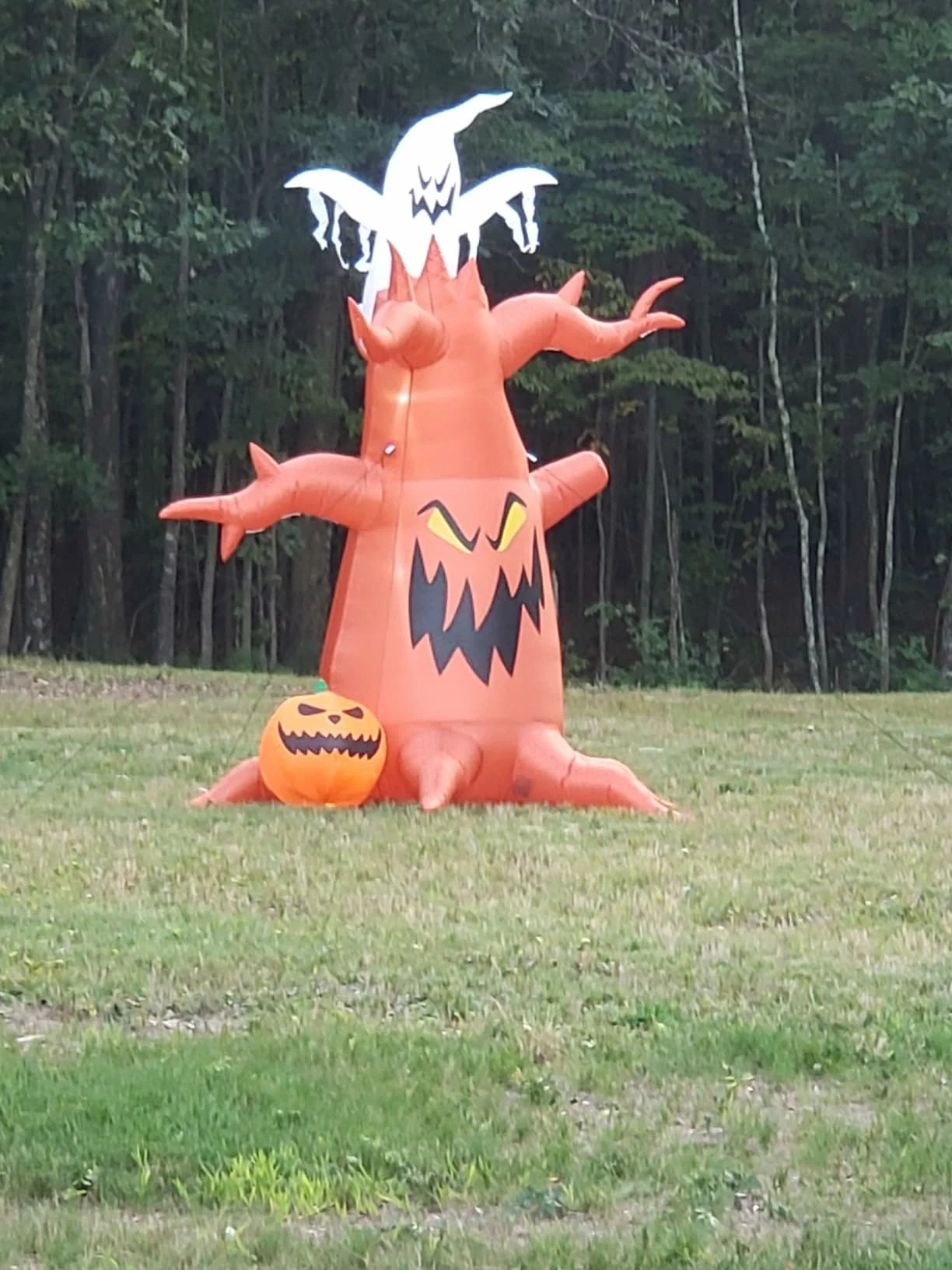 Click to view full screen 10FT Halloween Inflatable Scary Dead Tree with Pumpkin & Ghost, Built-in LED Lights, Blow Up Outdoor Yard Lawn Garden Decor photo review
