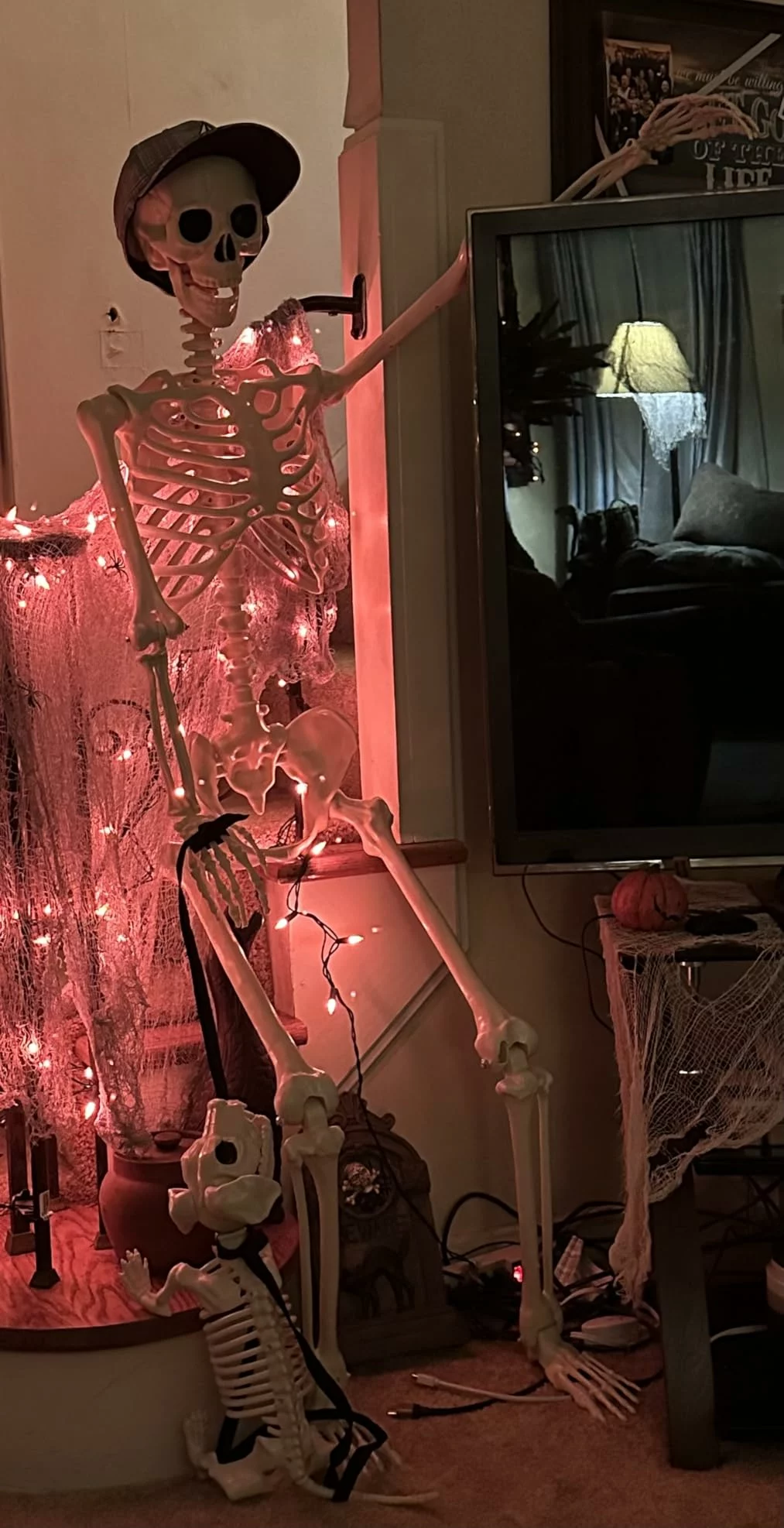 Click to view full screen 3 FT Human Skeleton Halloween Decor with Dog Skeleton, Posable Skeletons Decoration Movable Joints photo review