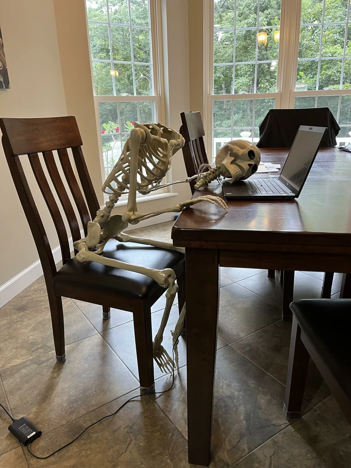 Click to view full screen Breesky 5.4FT Full Body Halloween Skeleton, Life-Size Realistic Human Bones with Posable Flexible Joints for Haunted House & Yard Decor photo review