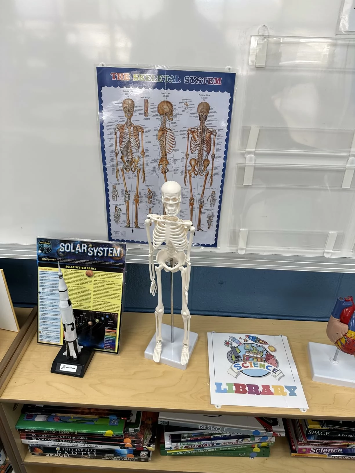 Click to view full screen Breesky 5.4FT Full Body Halloween Skeleton, Life-Size Realistic Human Bones with Posable Flexible Joints for Haunted House & Yard Decor photo review