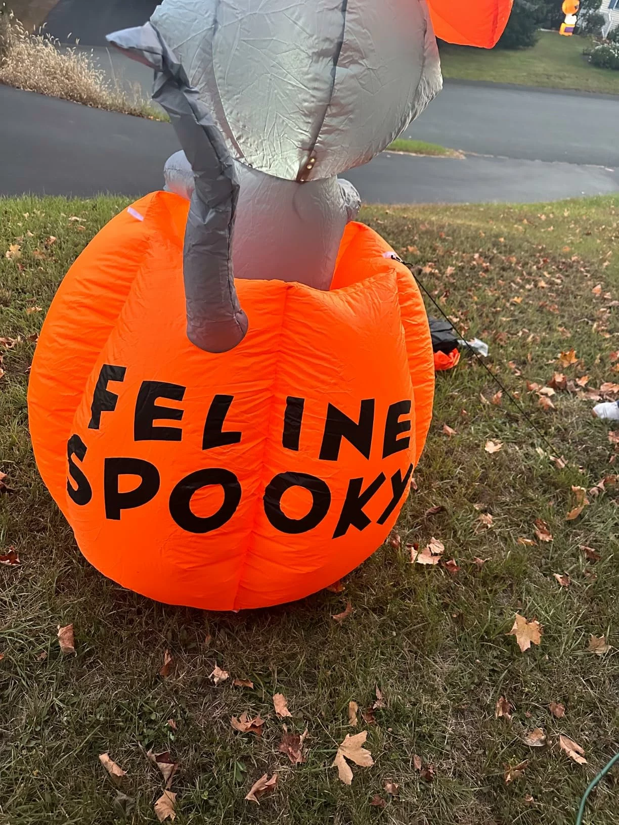 Click to view full screen 5.2Ft Long Halloween Inflatables Ghost Outdoor Decoration Waterproof Blow Up Yard Cute Ghosts With Book Built-In Leds photo review