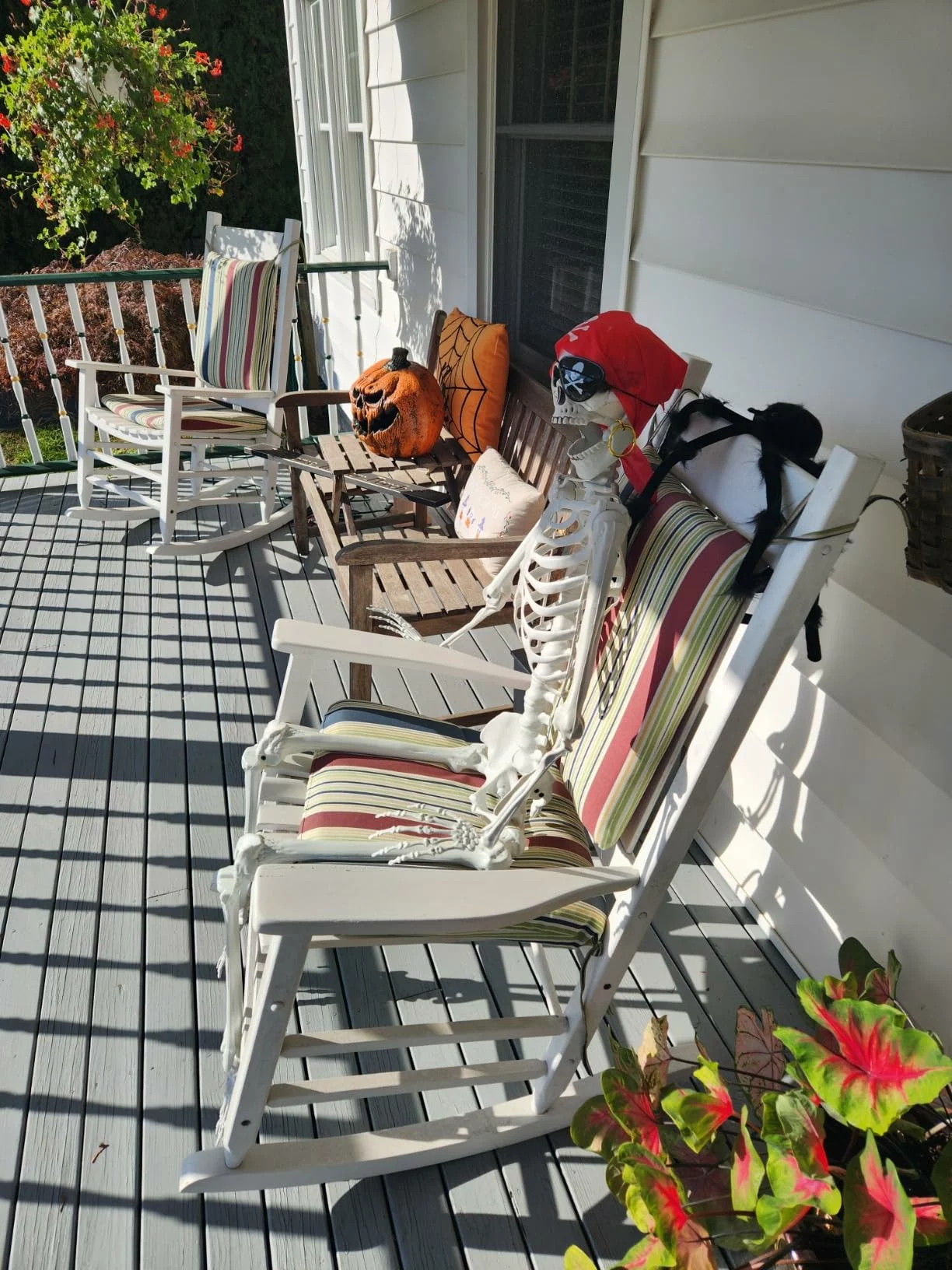 Click to view full screen 5FT Halloween Skeleton Decoration, Full Body Life-Size Skeleton Prop with Movable Joints for Outdoor Yard & Haunted House photo review