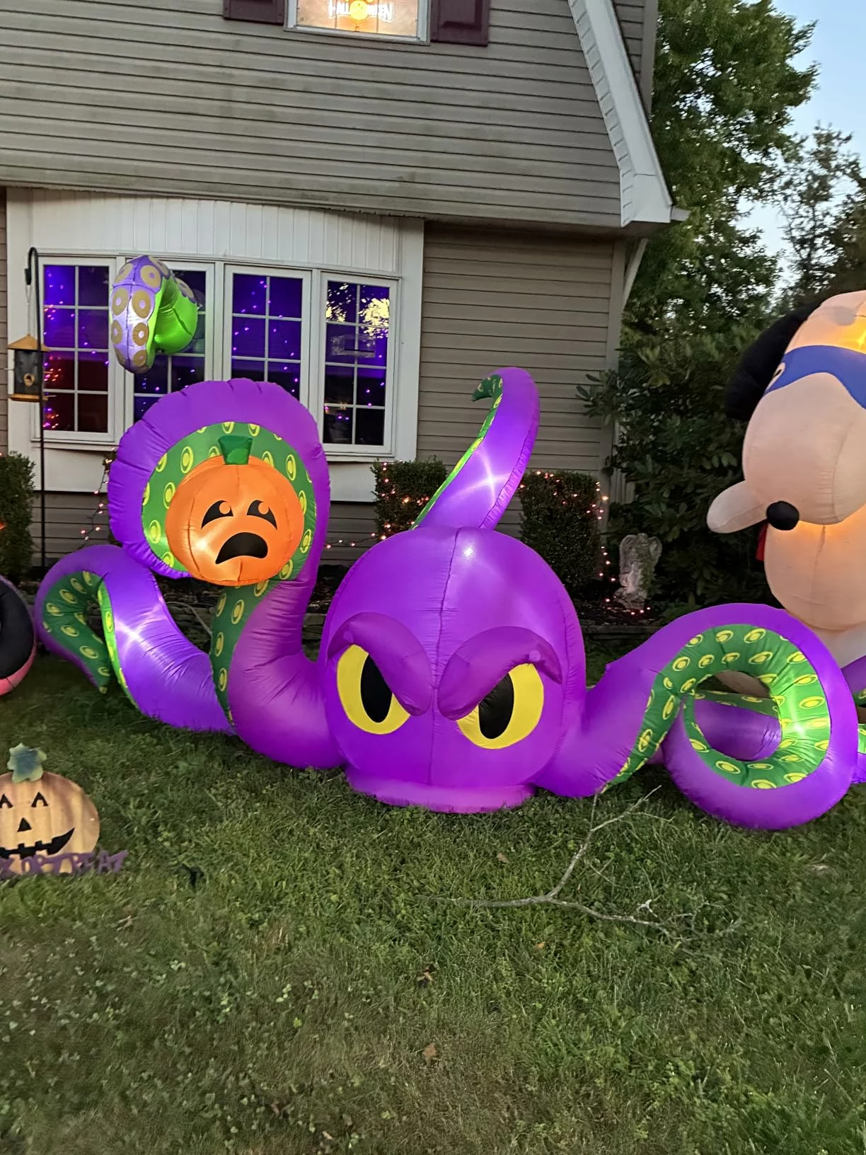 Click to view full screen 9FT Giant Halloween Inflatable Spooky Archway Waterproof with 8 LED Lights, Blow Up Outdoor Yard Lawn Garden Party Haunted House photo review
