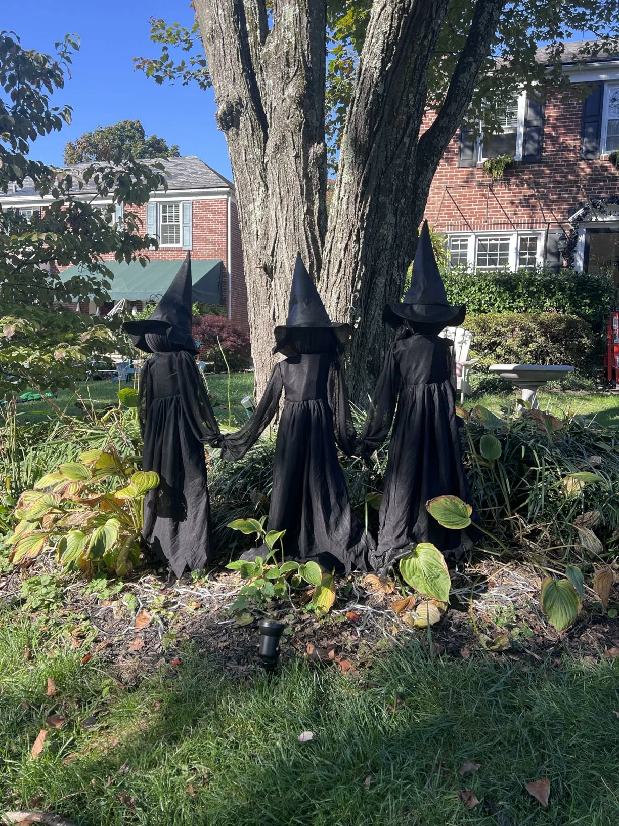 Click to view full screen Halloween Witch Decorations Outdoor Waterproof Yard Stakes 3 Pack 4.2Ft Multicolored Light Up Scary Flying Witch With Sound photo review