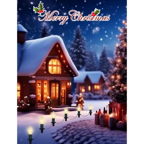 C9 Christmas Pathway Lights 38 Feet Outdoor String Lights with 25 Bulbs and Marker Stakes Waterpro 07