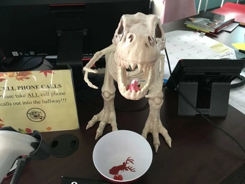 Click to view full screen 16" T-Rex Skeleton Halloween Decoration, Prelit Dinosaur Skeleton Plastic for Spooky Indoor Outdoor Party Décor photo review