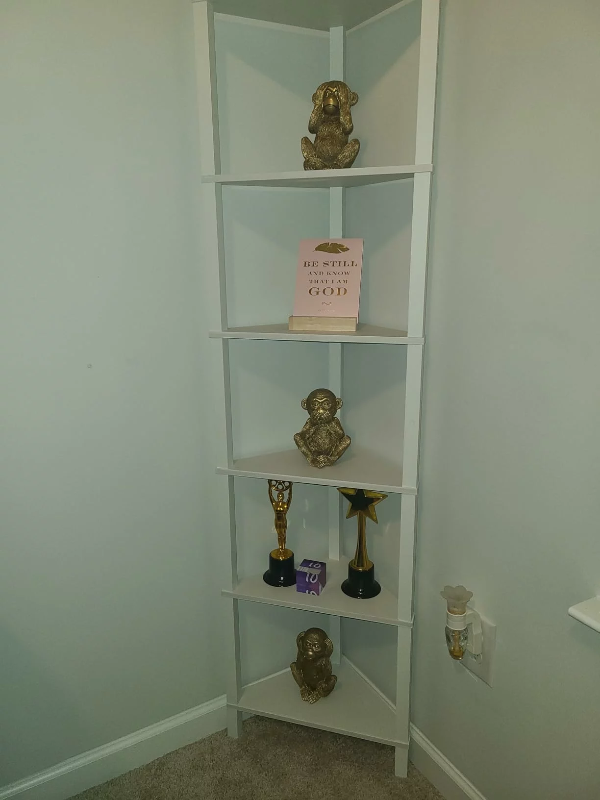 Click to view full screen 5-Tier Corner Bookshelf with LED Light, Space Saving Display Shelf Stand with Storage Rack for Bedroom Living Room Multi-Functional photo review