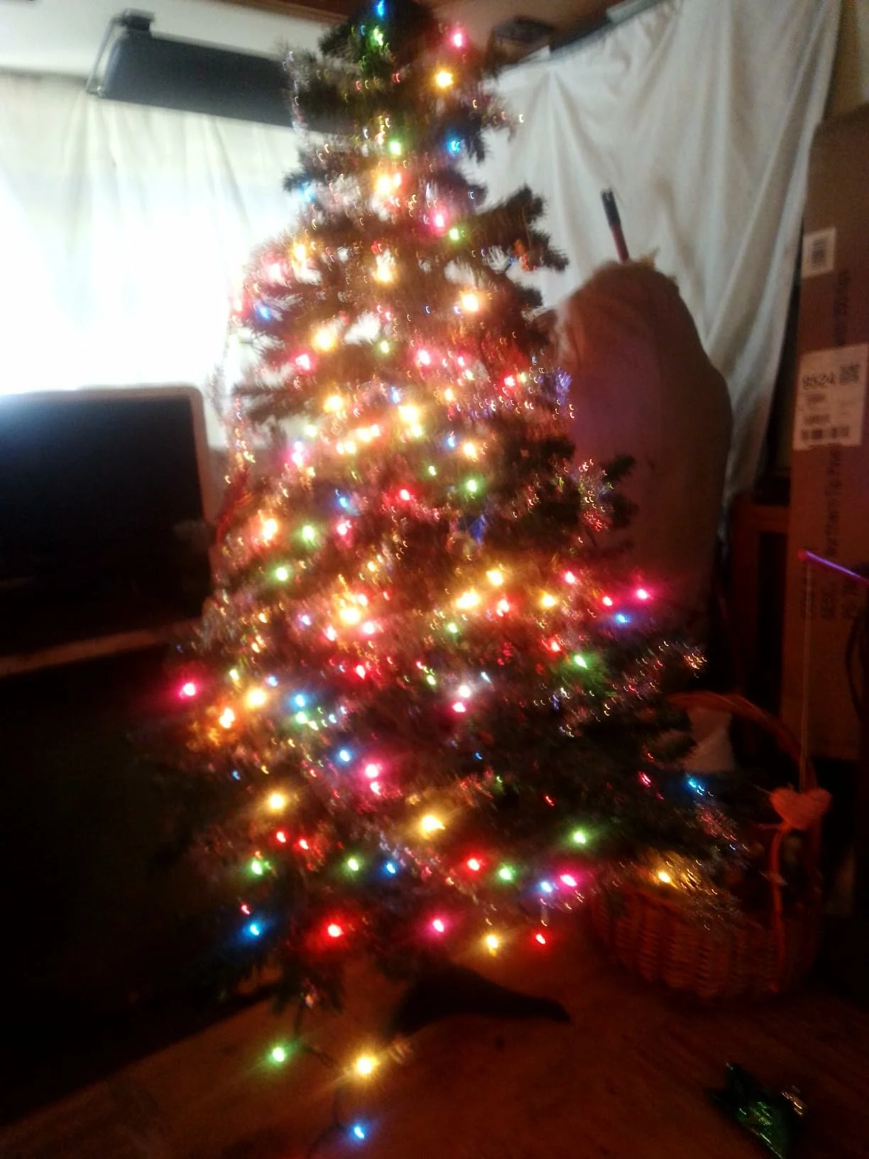 Click to view full screen Nearly Natural 4-ft. Northern Tip Pine Pre-Lit Artificial Christmas Tree – 100 Clear LED Lights, 250 Tips, Indoor Use photo review