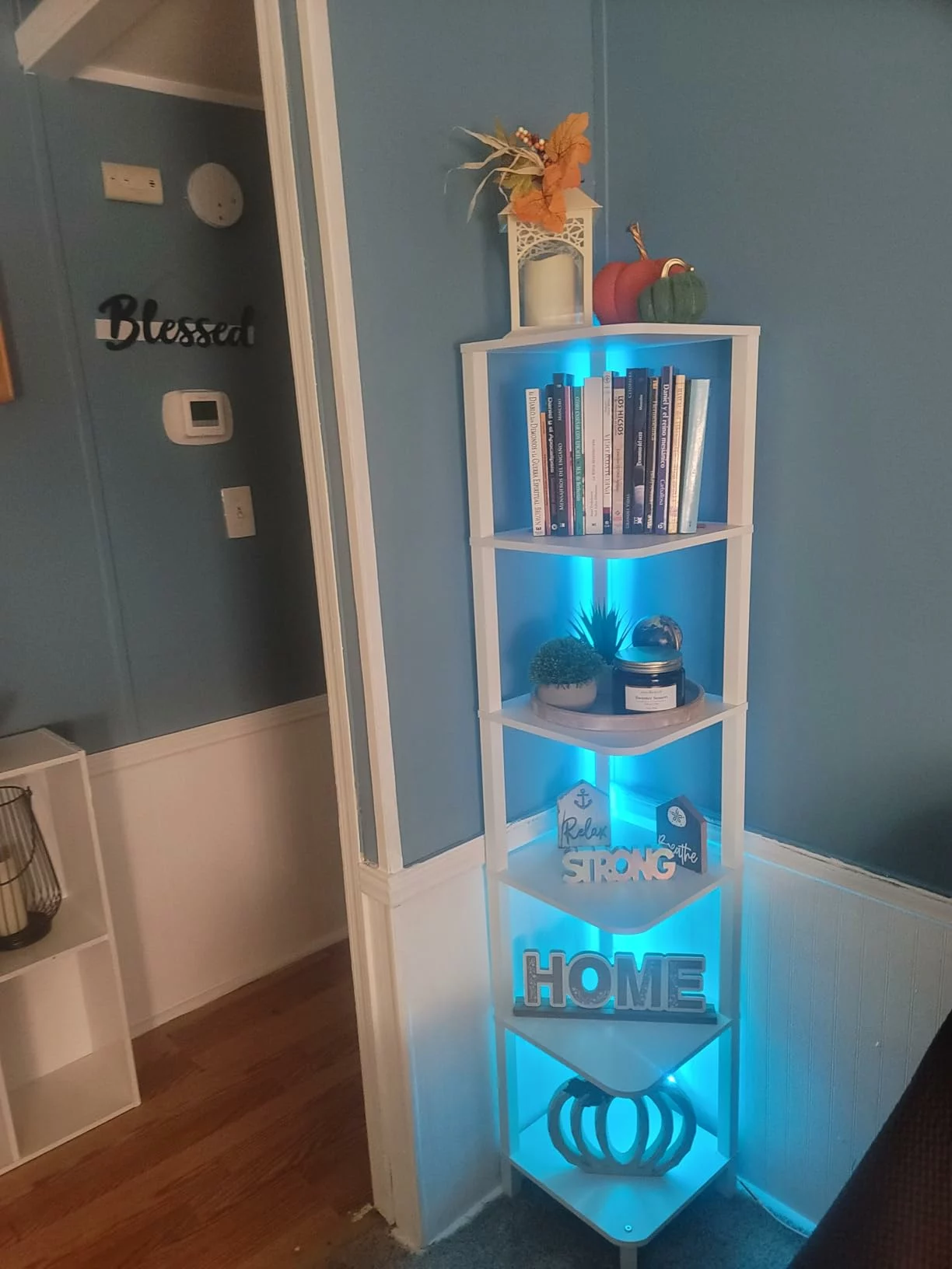 Click to view full screen 5-Tier Corner Bookshelf with LED Light, Space Saving Display Shelf Stand with Storage Rack for Bedroom Living Room Multi-Functional photo review