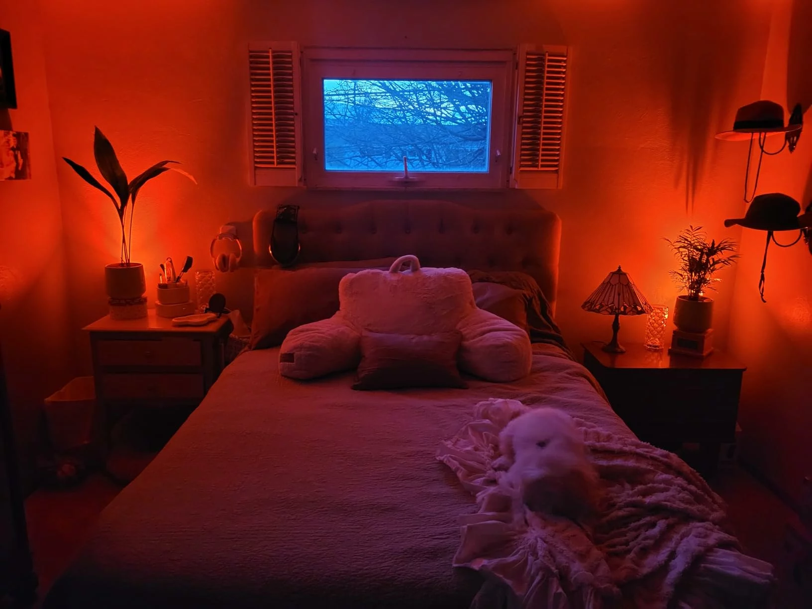 2 Pack Smart Floor Can Light 5W RGBW Color Changing Uplighting Indoor Uplights 2700K-6500k photo review