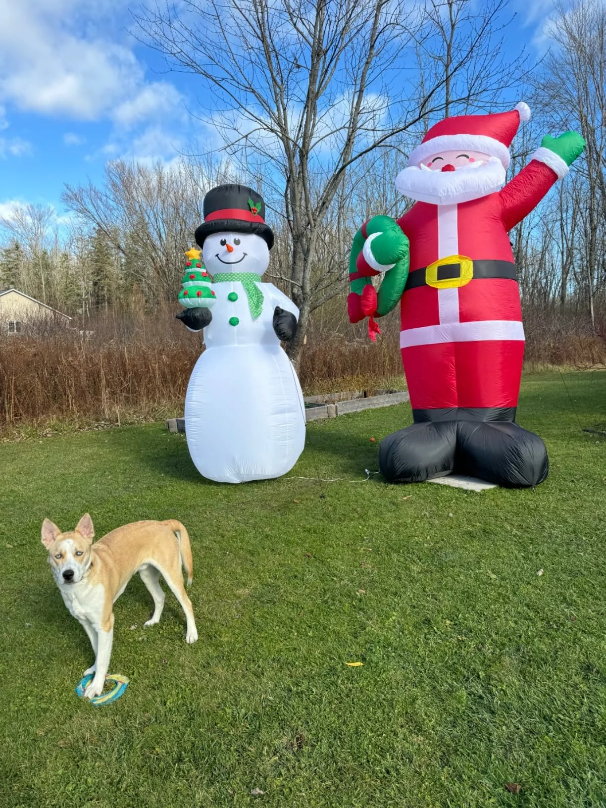 Click to view full screen Danxilu 5FT Lighted Christmas Inflatable Santa Claus with Gift Bag – LED Blow Up Outdoor Yard Decor for Xmas Holiday Party USA photo review