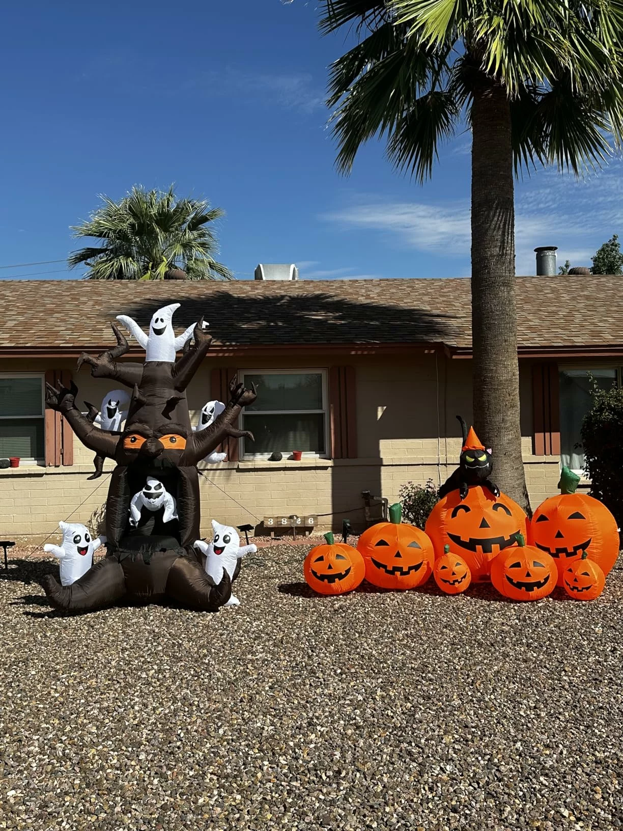 Click to view full screen 7FT Halloween Inflatable Pumpkins with Witch Cat, LED Light Up Blow Up Yard Decoration for Outdoor Lawn Garden Party photo review