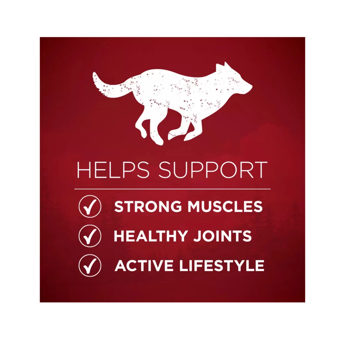 Adult Dog Dry Food with Beef – All Natural High Protein Formula 5