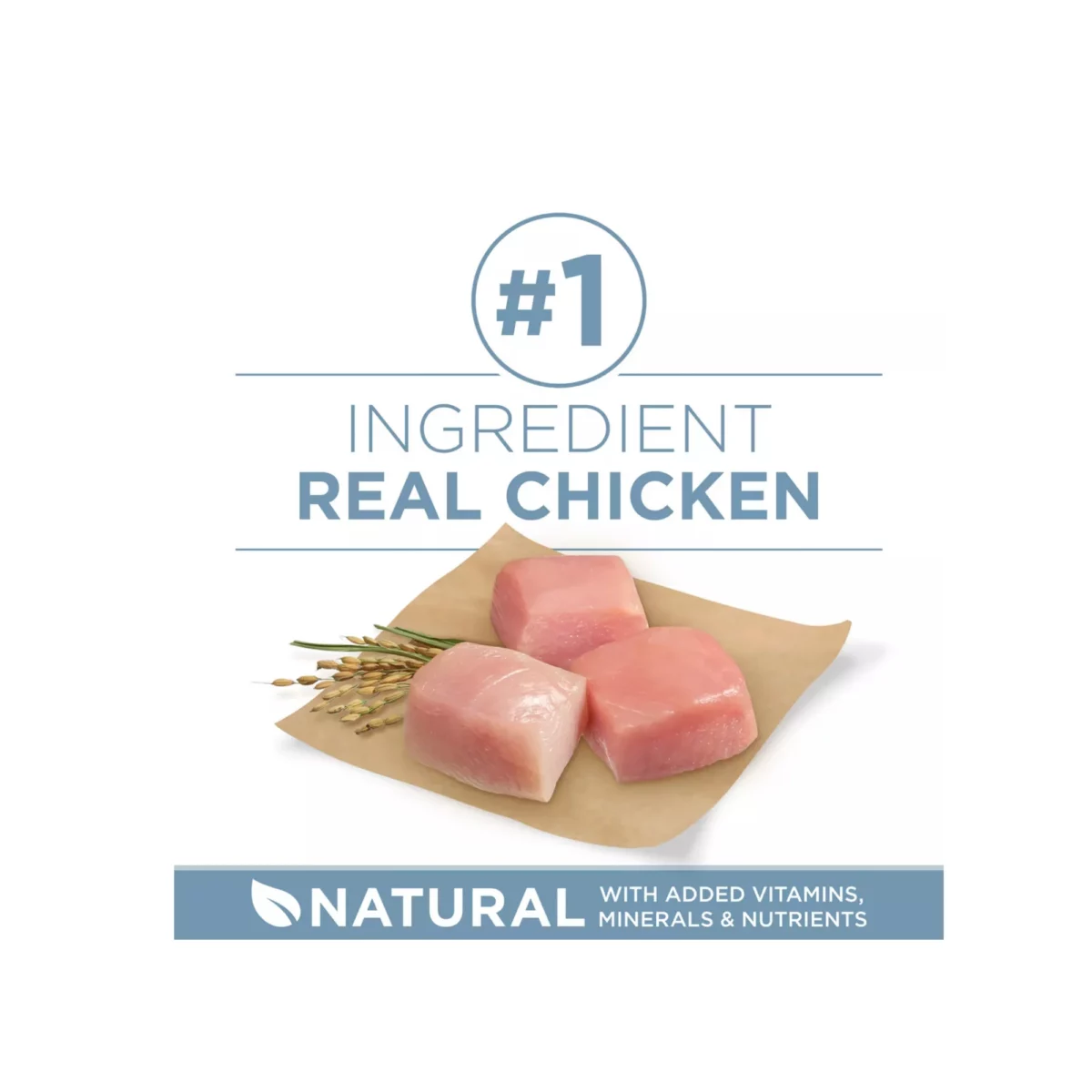 Adult Dog Dry Food with Chicken – Natural Formula No Artificial Colors or Flavors 4
