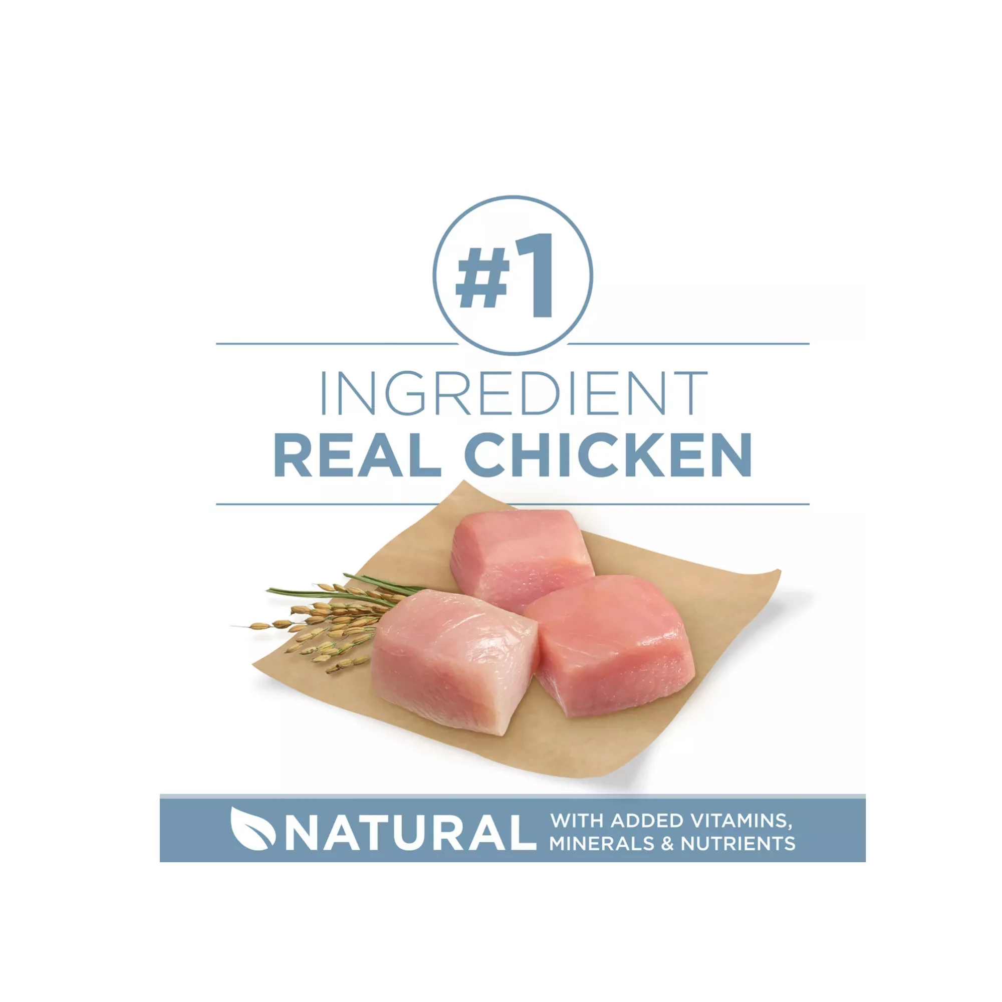 Adult Dog Dry Food with Chicken – Natural Formula, No Artificial Colors or Flavors (4) Adult Dog Dry Food with Chicken – Natural Formula No Artificial Colors or Flavors 4