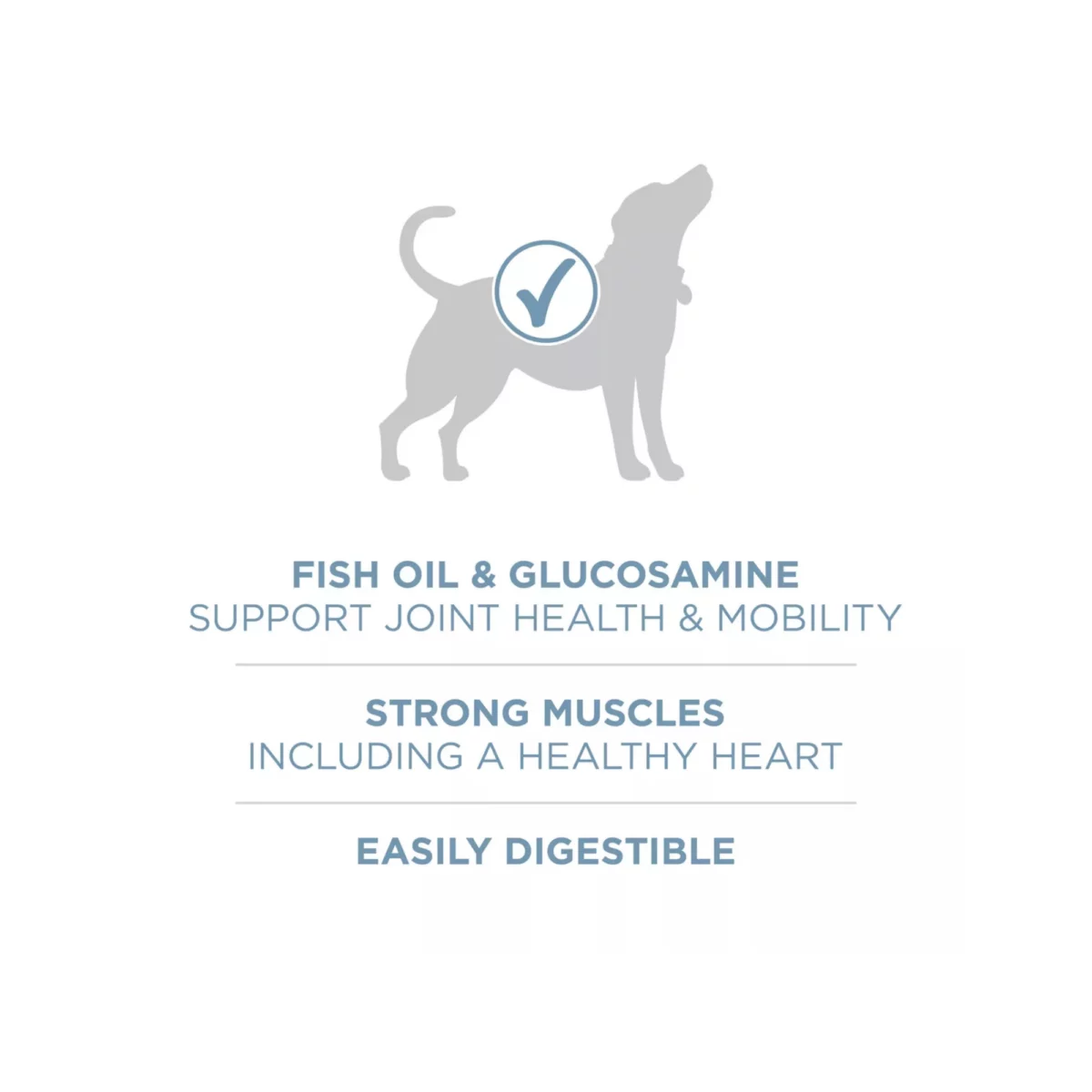 Adult Dog Dry Food with Chicken – Natural Formula No Artificial Colors or Flavors 5