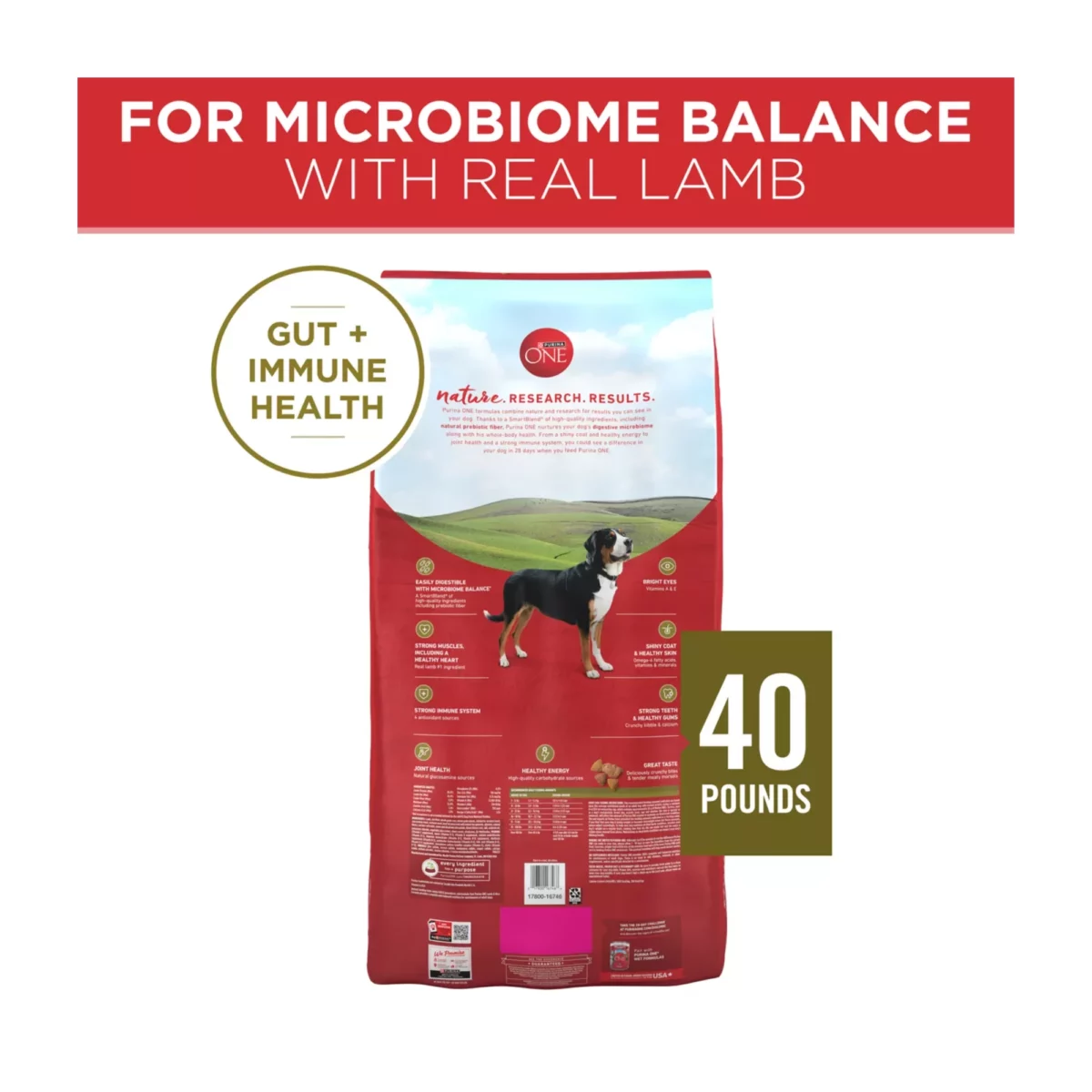 Adult Dog Dry Food with Lamb Rice – High Protein Formula 2