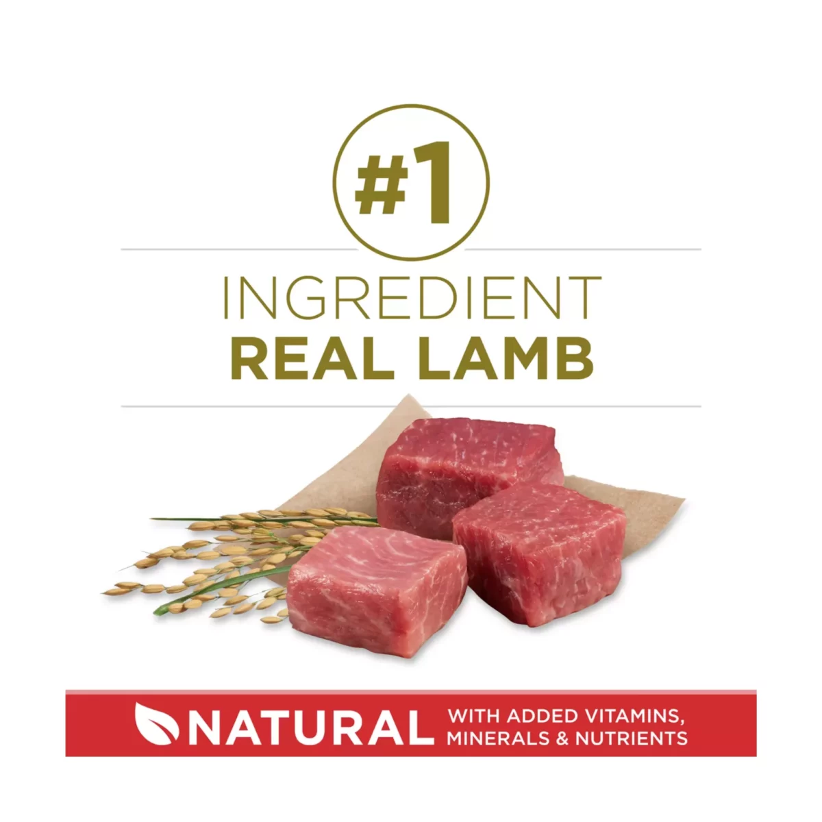 Adult Dog Dry Food with Lamb Rice – High Protein Formula 3