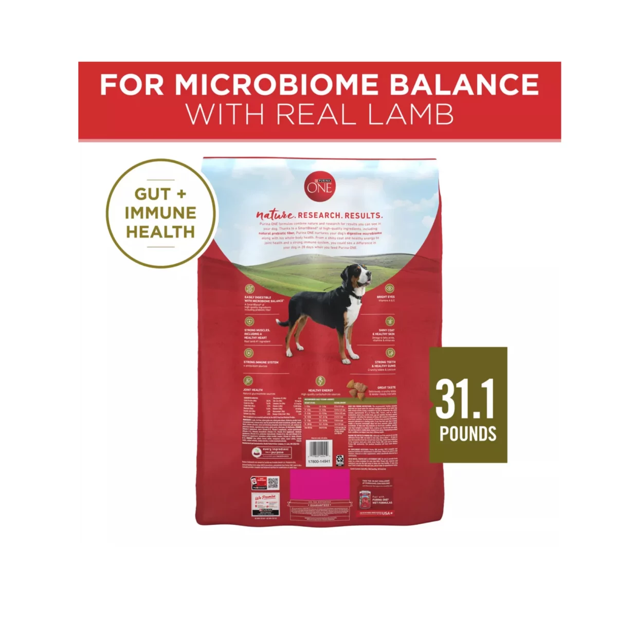 Adult Dog Dry Food with Lamb – High Protein Everyday Nutrition 2