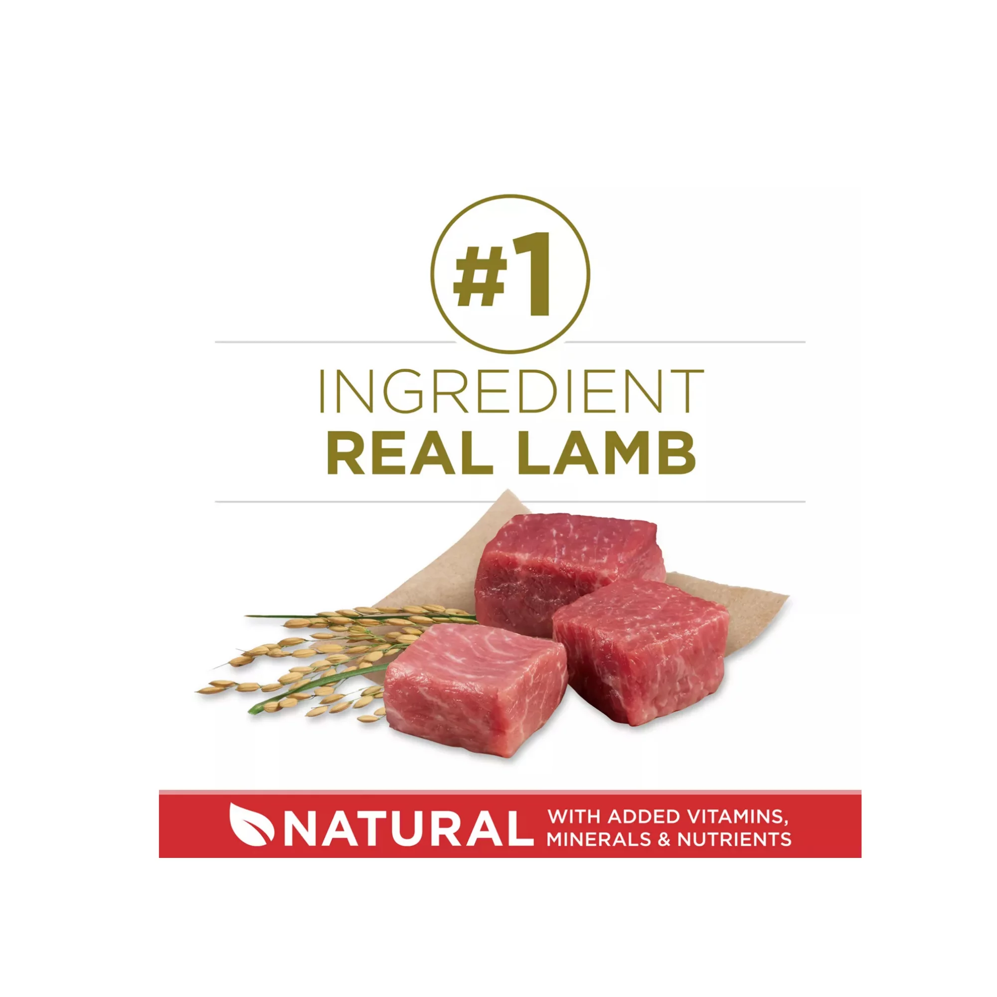 Adult Dog Dry Food with Lamb – High Protein Everyday Nutrition (4) Adult Dog Dry Food with Lamb – High Protein Everyday Nutrition 4