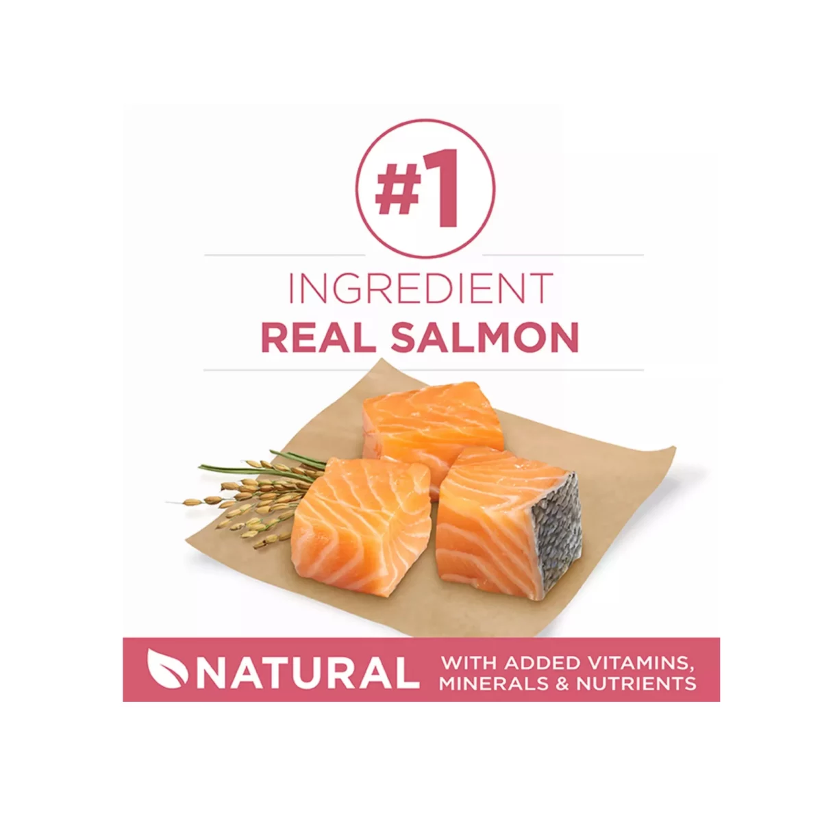 Adult Dog Dry Food with Salmon – Natural Formula with Vitamins 3