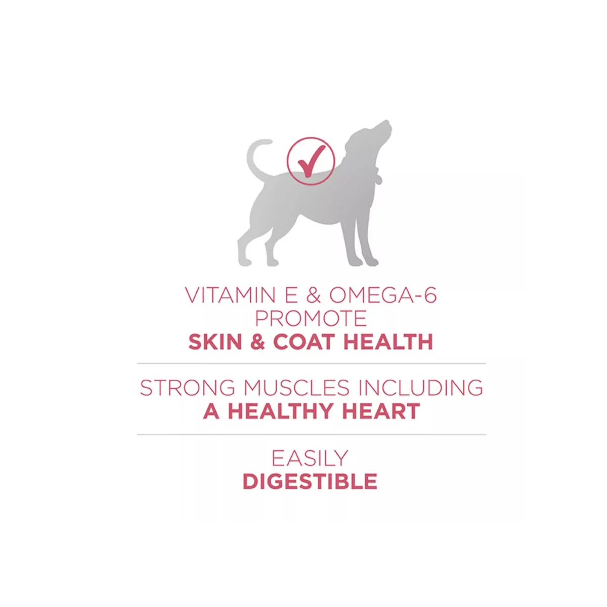 Adult Dog Dry Food with Salmon – Natural Formula with Vitamins 4
