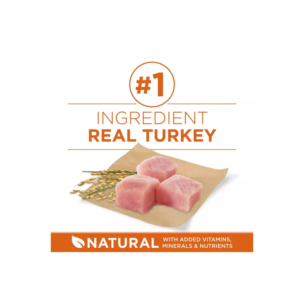 Adult Dog Dry Food with Turkey – High Protein Natural Formula 4