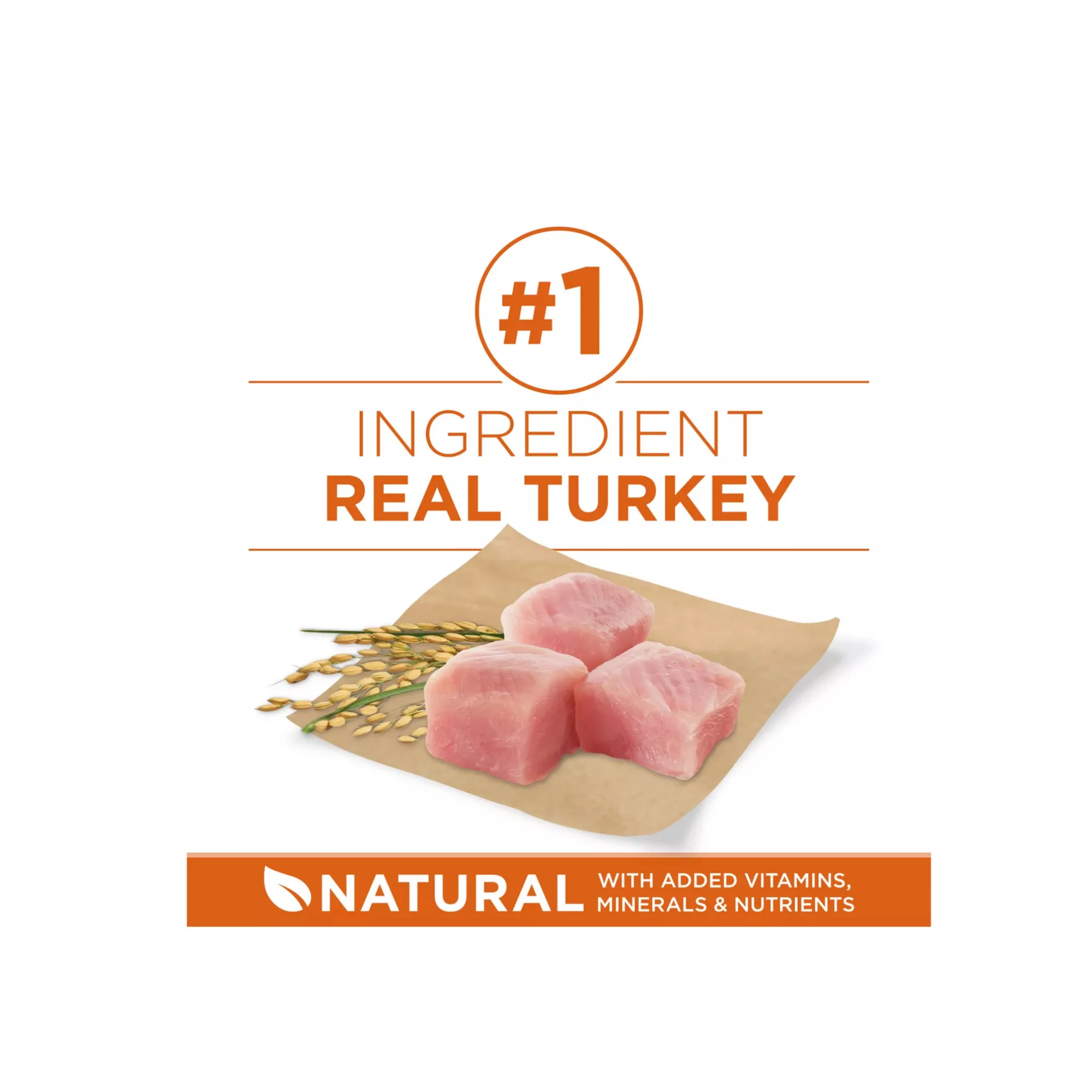 Adult Dog Dry Food with Turkey – High Protein Natural Formula (4) Adult Dog Dry Food with Turkey – High Protein Natural Formula 4