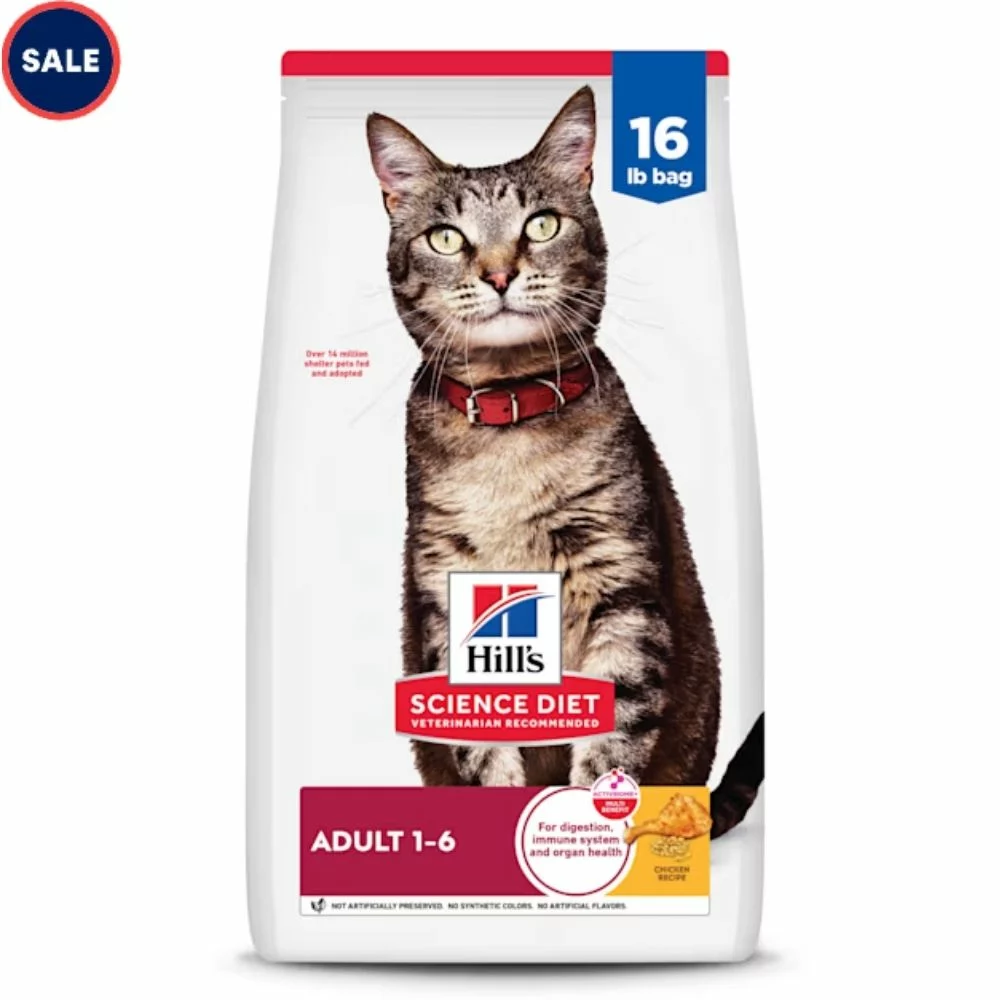 Adult Dry Cat Food – Chicken Recipe, High-Protein Formula for Energy and Healthy Digestion (1) Adult Dry Cat Food – Chicken Recipe High Protein Formula for Energy and Healthy Digestion 1