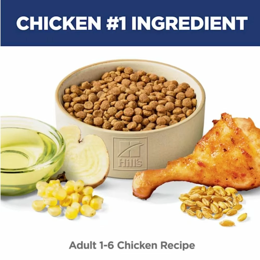 Adult Dry Cat Food – Chicken Recipe, High-Protein Formula for Energy and Healthy Digestion (6) Adult Dry Cat Food – Chicken Recipe High Protein Formula for Energy and Healthy Digestion 6