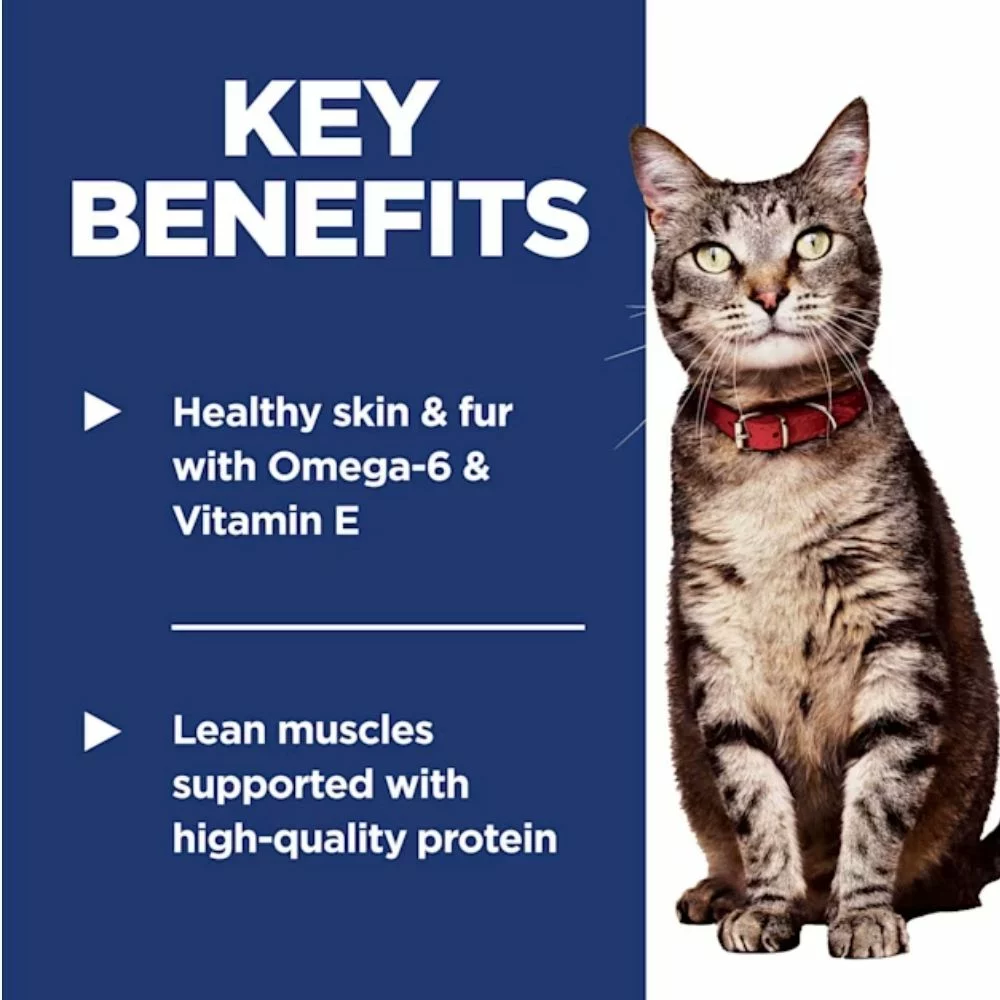 Adult Dry Cat Food – Chicken Recipe, High-Protein Formula for Energy and Healthy Digestion (8) Adult Dry Cat Food – Chicken Recipe High Protein Formula for Energy and Healthy Digestion 8