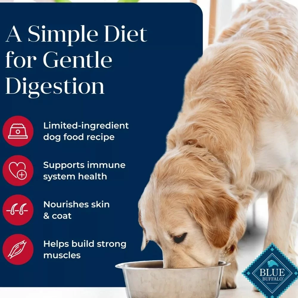 Basics Skin and Stomach Care Adult Dry Dog Food – Salmon and Potato Recipe for Gentle Digestion and Healthy Coat (3) Basics Skin and Stomach Care Adult Dry Dog Food – Salmon and Potato Recipe for Gentle Digestion and Healthy Coat 3
