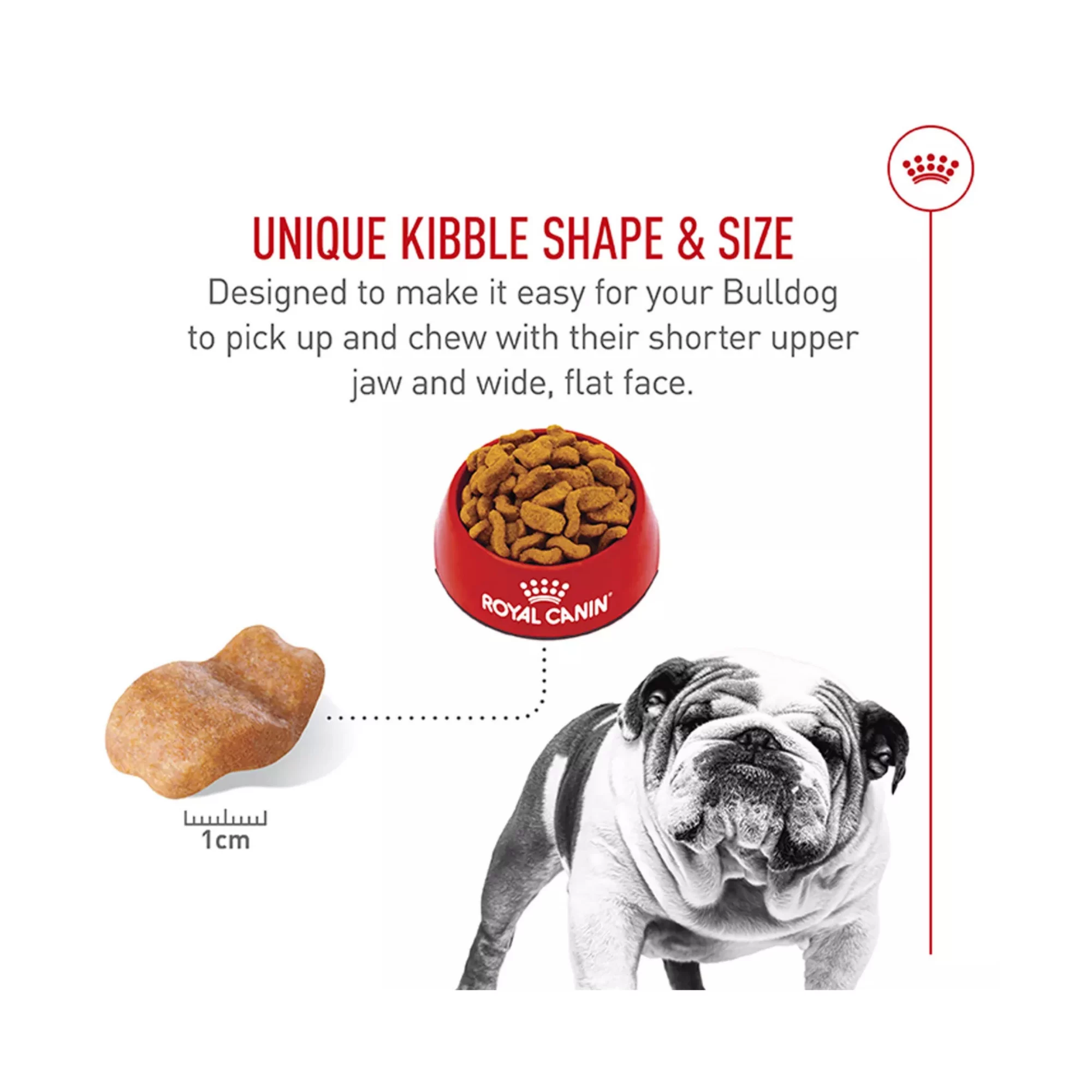 Breed Health Nutrition Bulldog Adult Dry Dog Food – Balanced Formula (4) Breed Health Nutrition Bulldog Adult Dry Dog Food – Balanced Formula 4