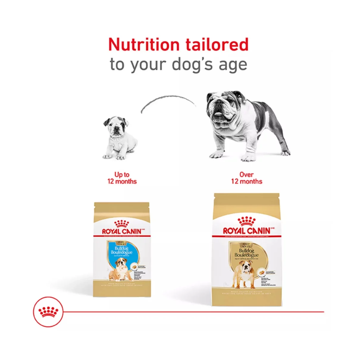 Breed Health Nutrition Bulldog Adult Dry Dog Food – Balanced Formula 5