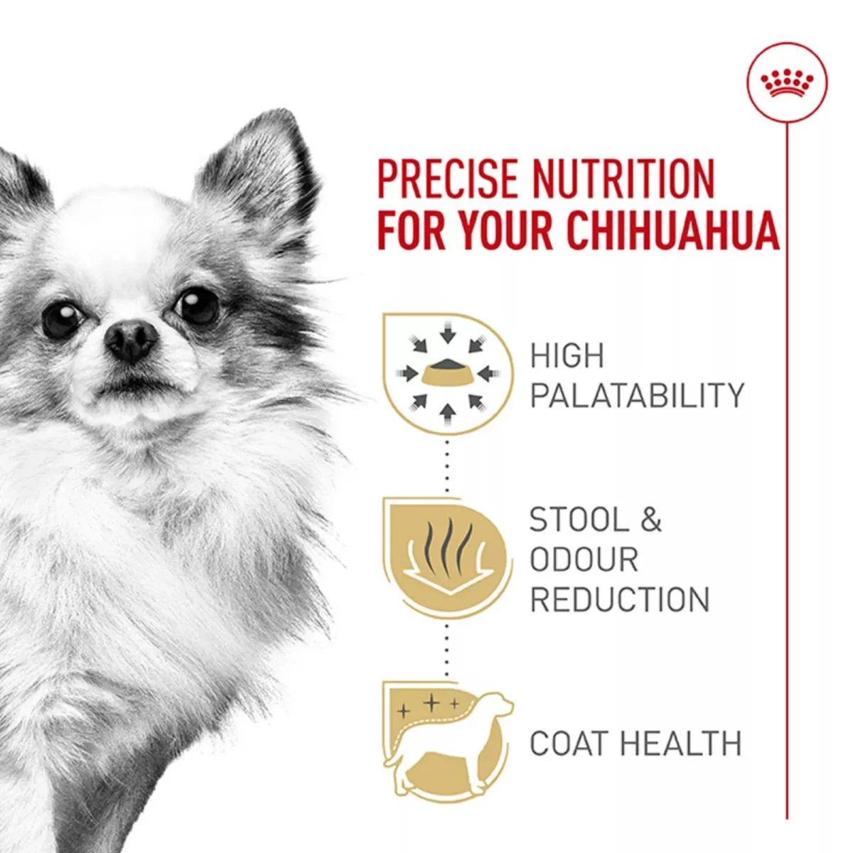 Breed Health Nutrition Chihuahua Adult Dry Dog Food – Balanced Formula 3