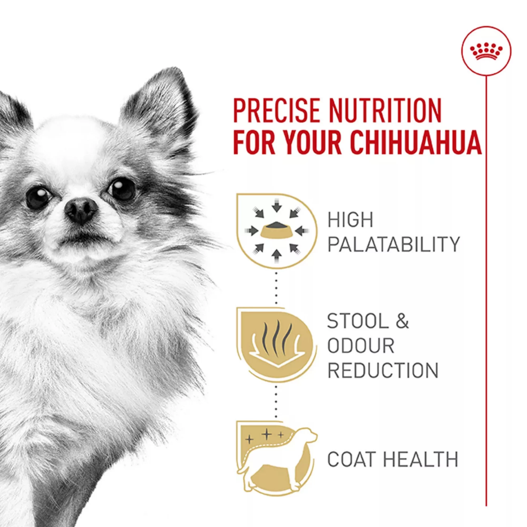 Breed Health Nutrition Chihuahua Adult Dry Dog Food – Balanced Formula (3) Breed Health Nutrition Chihuahua Adult Dry Dog Food – Balanced Formula 3