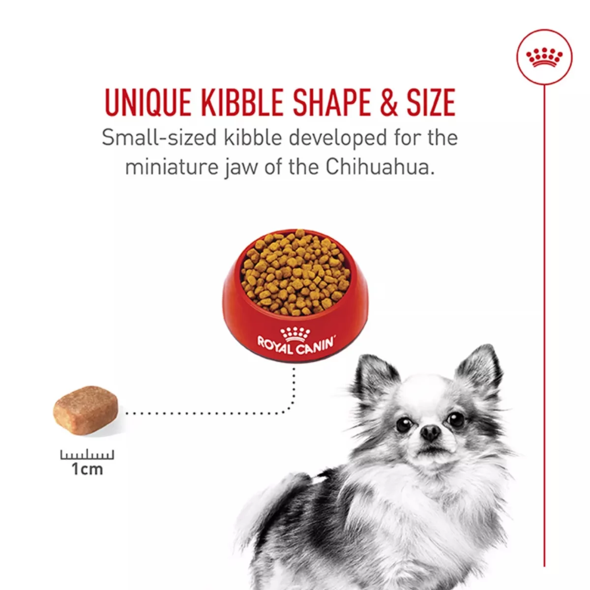 Breed Health Nutrition Chihuahua Adult Dry Dog Food – Balanced Formula 4