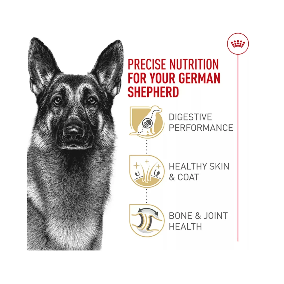 Breed Health Nutrition German Shepherd Adult Dry Dog Food – Balanced Formula 3