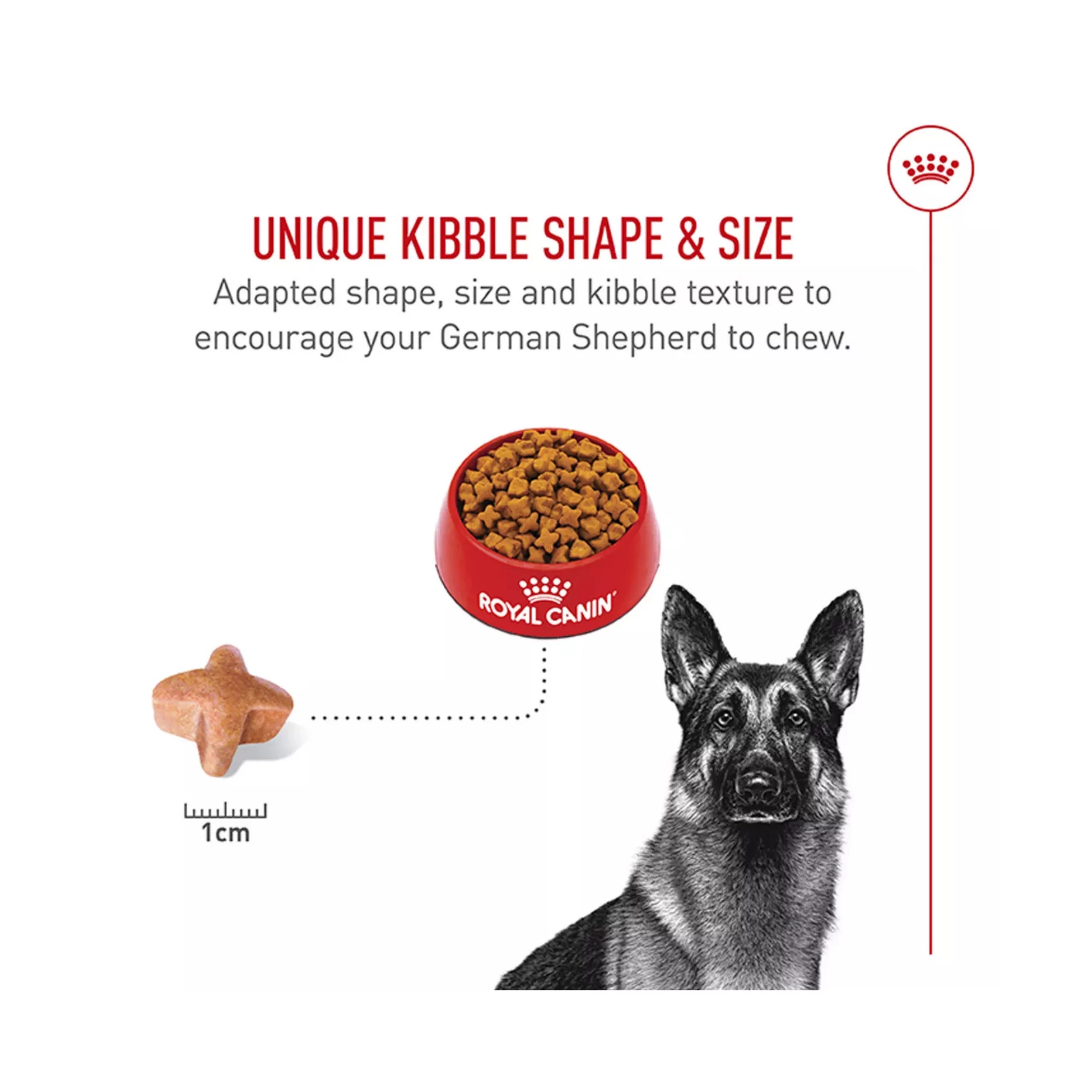 Breed Health Nutrition German Shepherd Adult Dry Dog Food – Balanced Formula (4) Breed Health Nutrition German Shepherd Adult Dry Dog Food – Balanced Formula 4