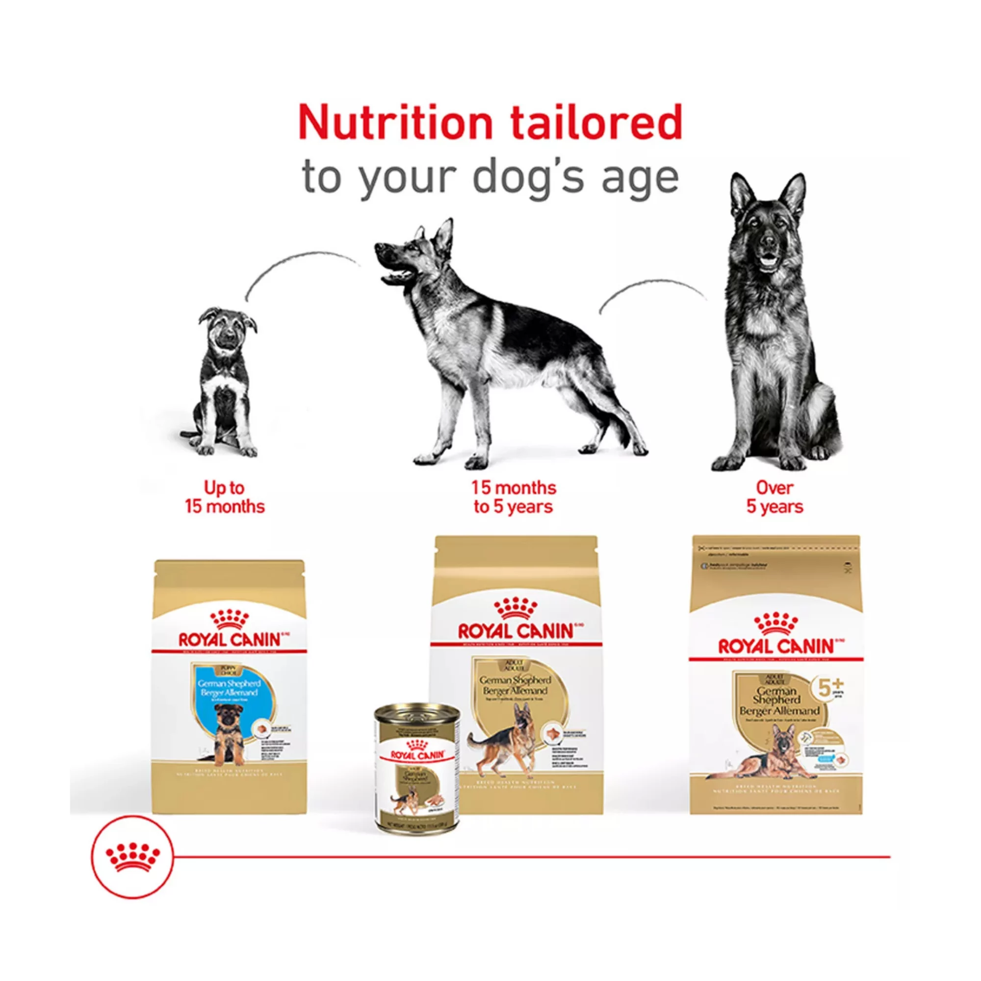 Breed Health Nutrition German Shepherd Adult Dry Dog Food – Balanced Formula (5) Breed Health Nutrition German Shepherd Adult Dry Dog Food – Balanced Formula 5