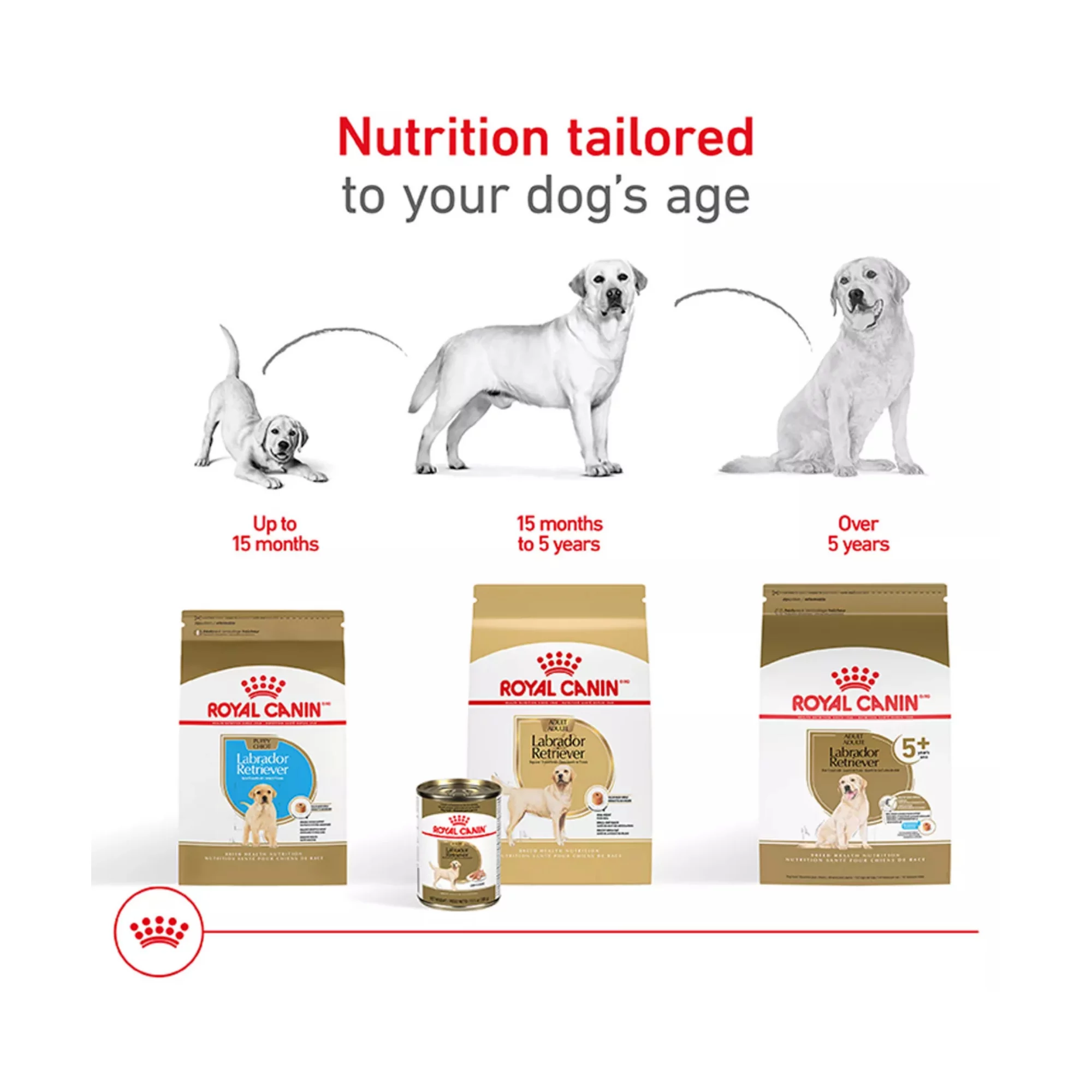 Breed Health Nutrition Labrador Retriever Adult Dry Dog Food – 30 lb (4) Breed Health Nutrition Labrador Retriever Adult Dry Dog Food – 30 lb 4