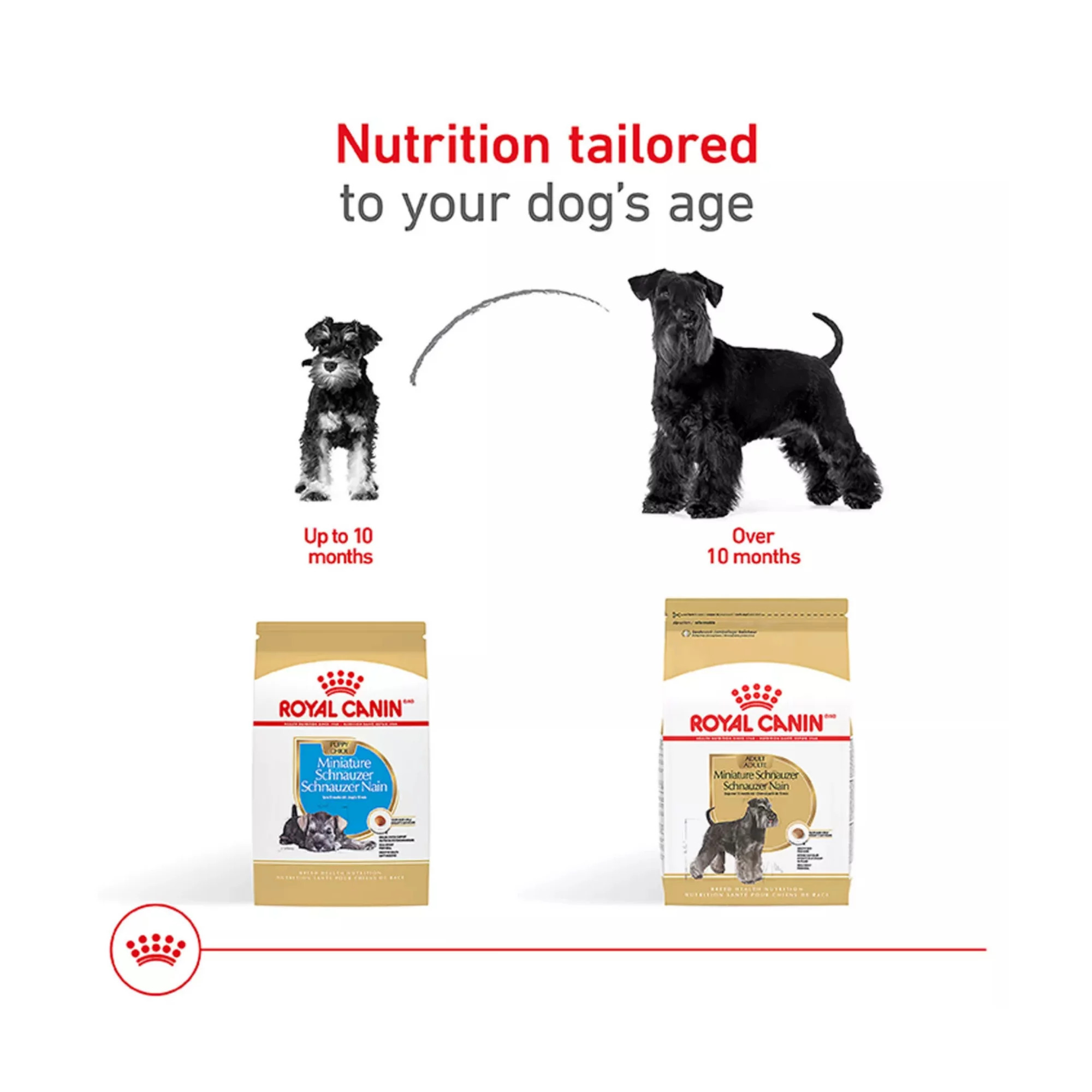 Breed Health Nutrition Miniature Schnauzer Adult Dry Dog Food – 10 lb (2) Breed Health Nutrition Miniature Schnauzer Adult Dry Dog Food – 10 lb 2