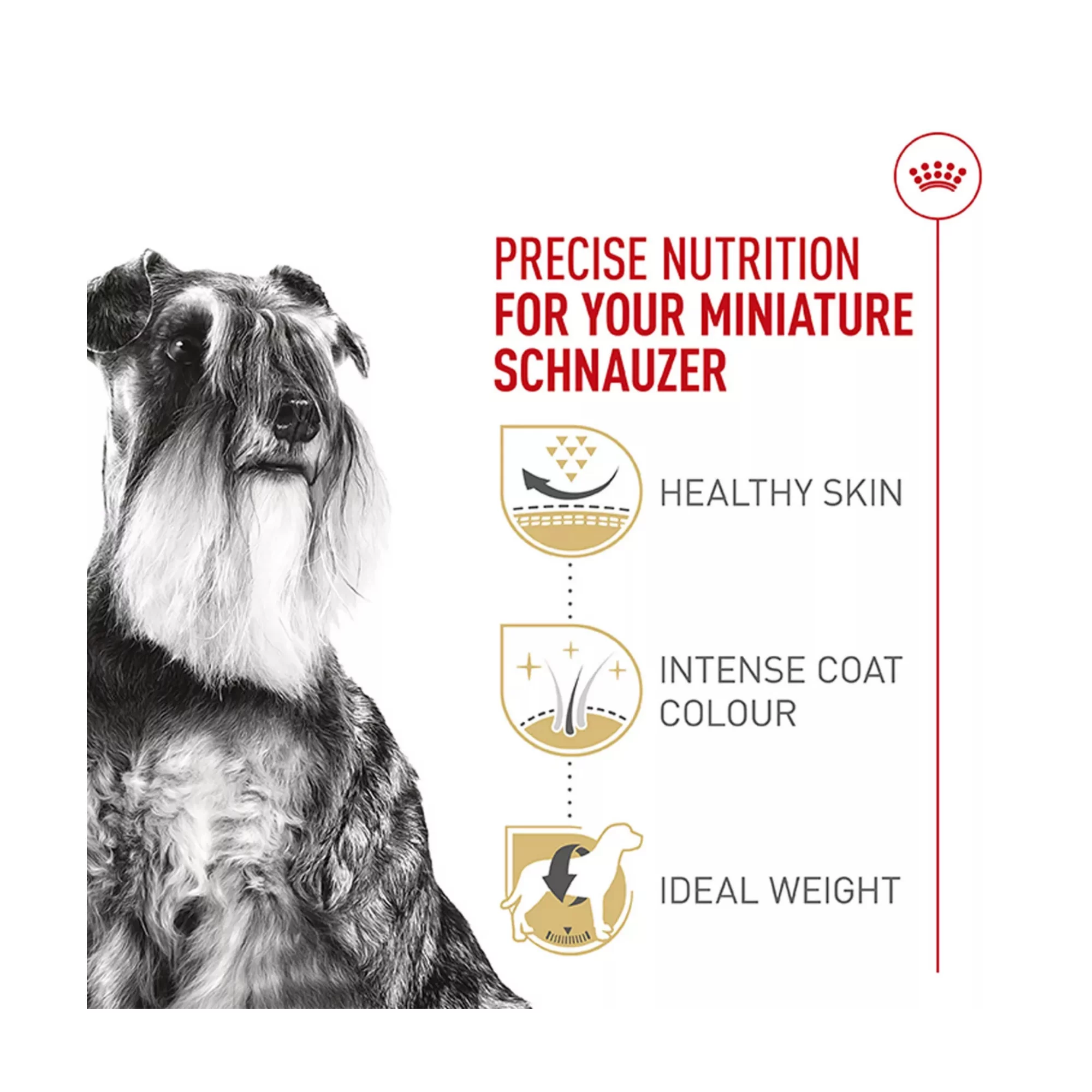 Breed Health Nutrition Miniature Schnauzer Adult Dry Dog Food – 10 lb (3) Breed Health Nutrition Miniature Schnauzer Adult Dry Dog Food – 10 lb 3