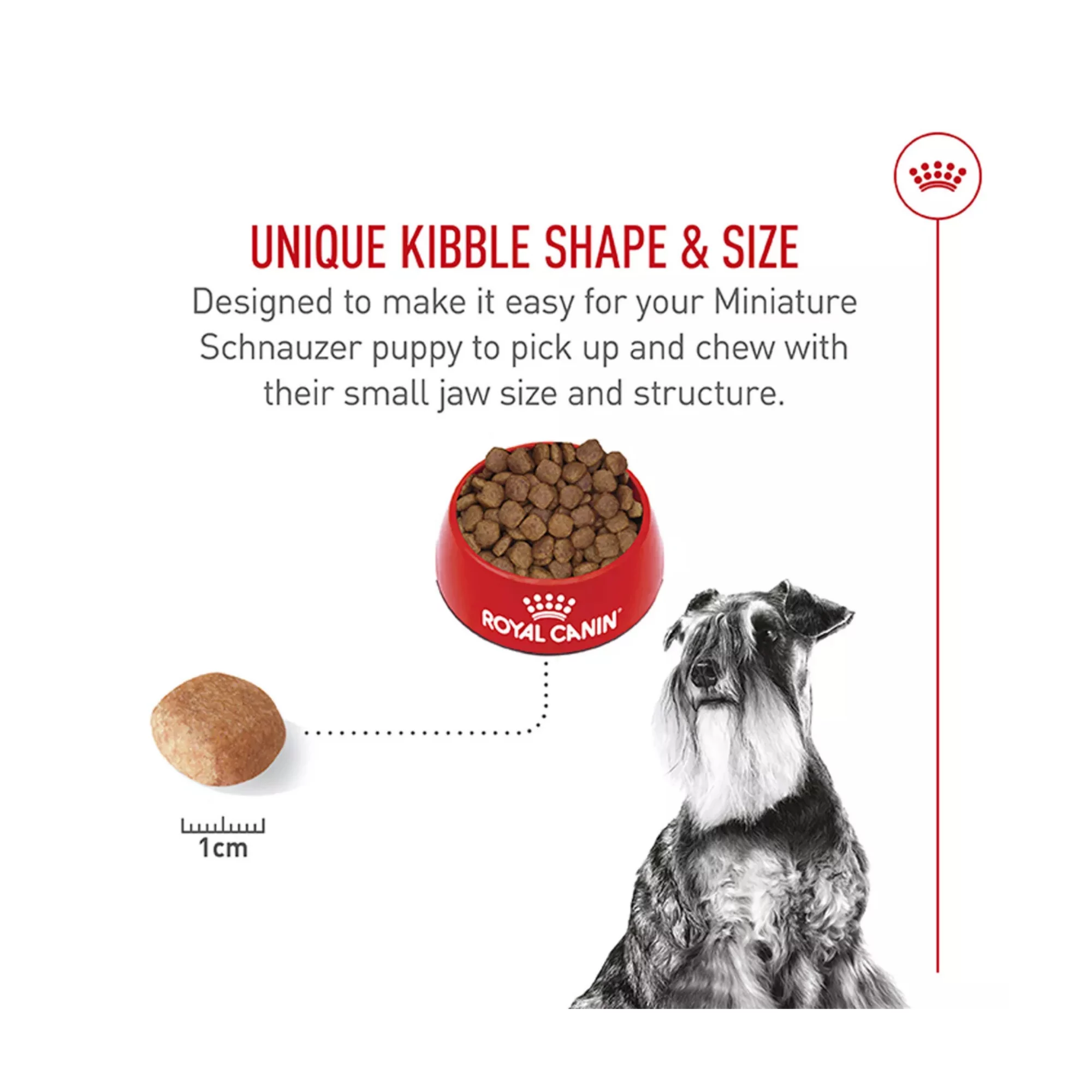 Breed Health Nutrition Miniature Schnauzer Adult Dry Dog Food – 10 lb (4) Breed Health Nutrition Miniature Schnauzer Adult Dry Dog Food – 10 lb 4