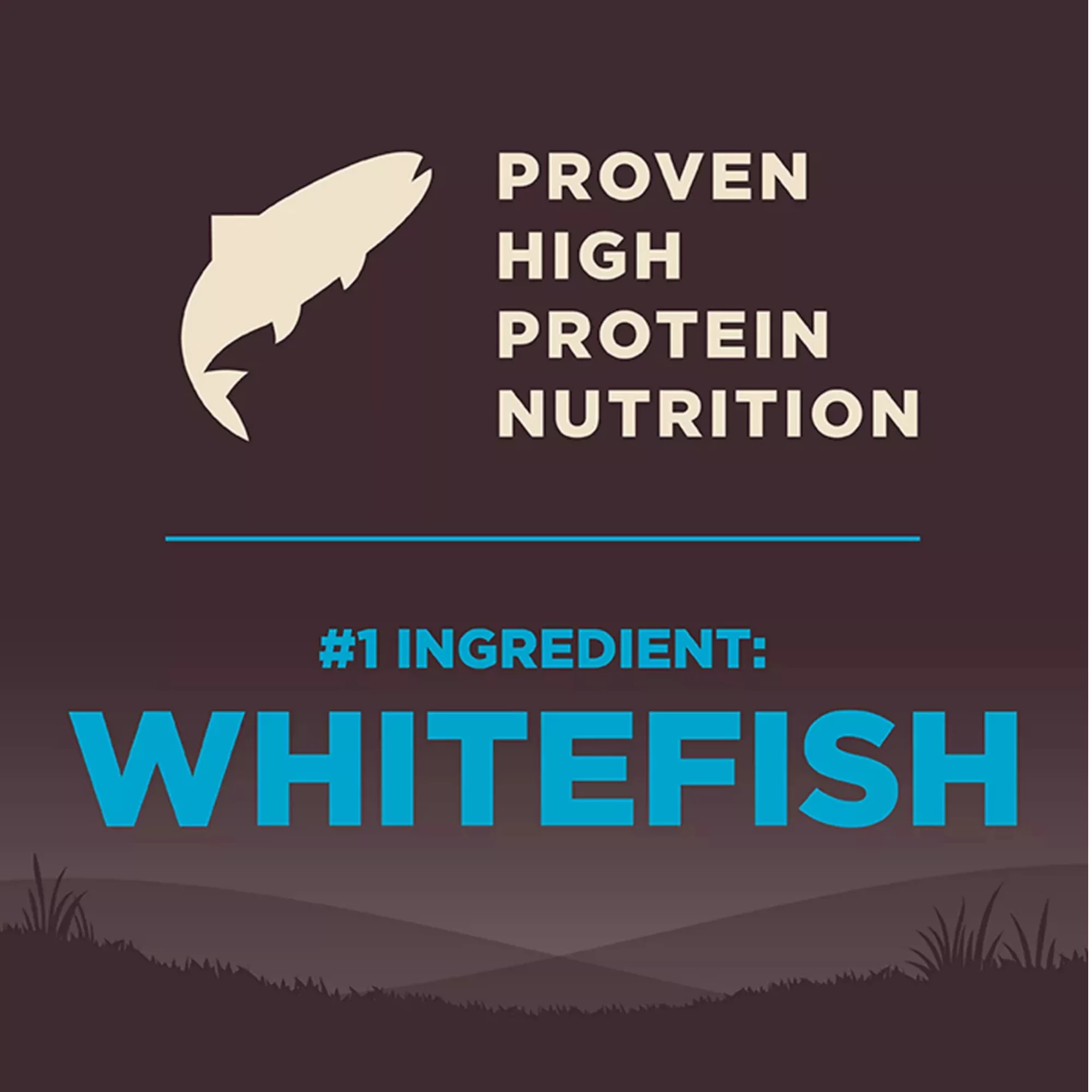CORE Adult Dry Dog Food – Natural Grain-Free Ocean Formula (4) CORE Adult Dry Dog Food – Natural Grain Free Ocean Formula 4
