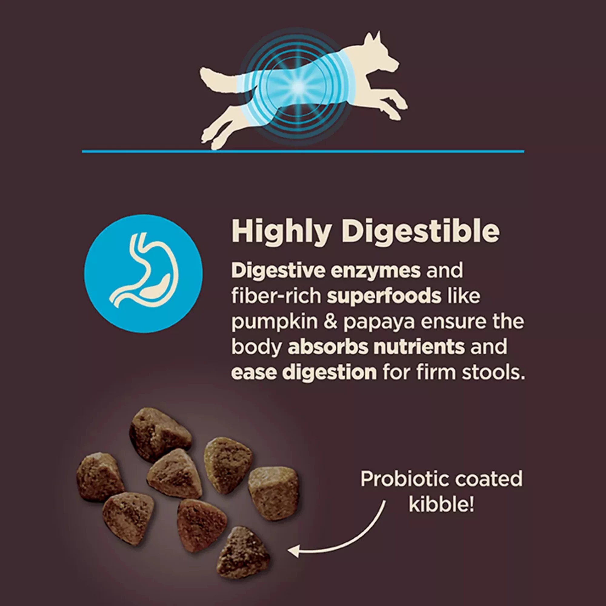 CORE Digestive Health Adult Dry Dog Food – With-Grain Whitefish & Brown Rice (6) CORE Digestive Health Adult Dry Dog Food – With Grain Whitefish Brown Rice 6